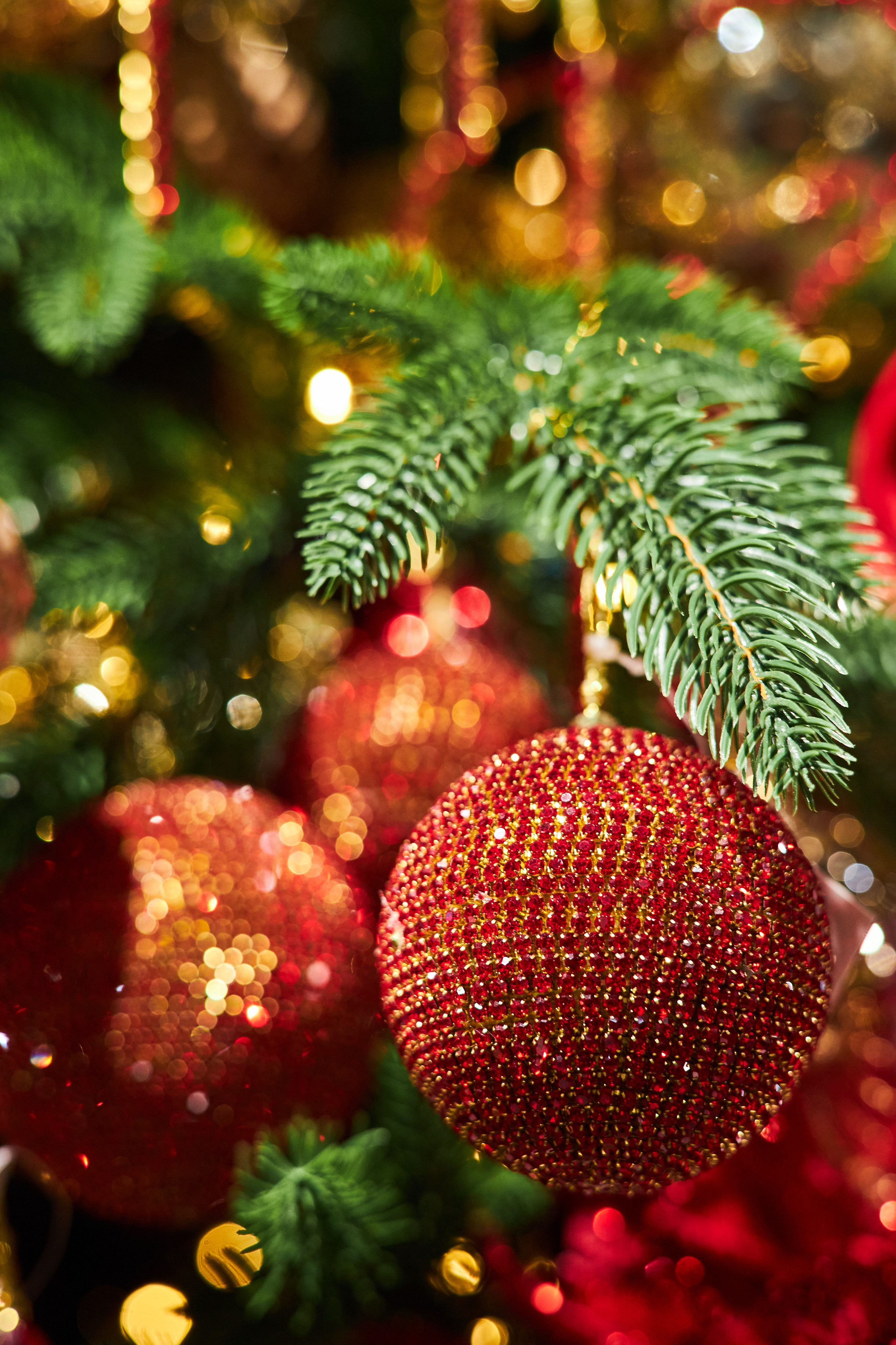 Best decor place. Фотограф Сергей Склемин