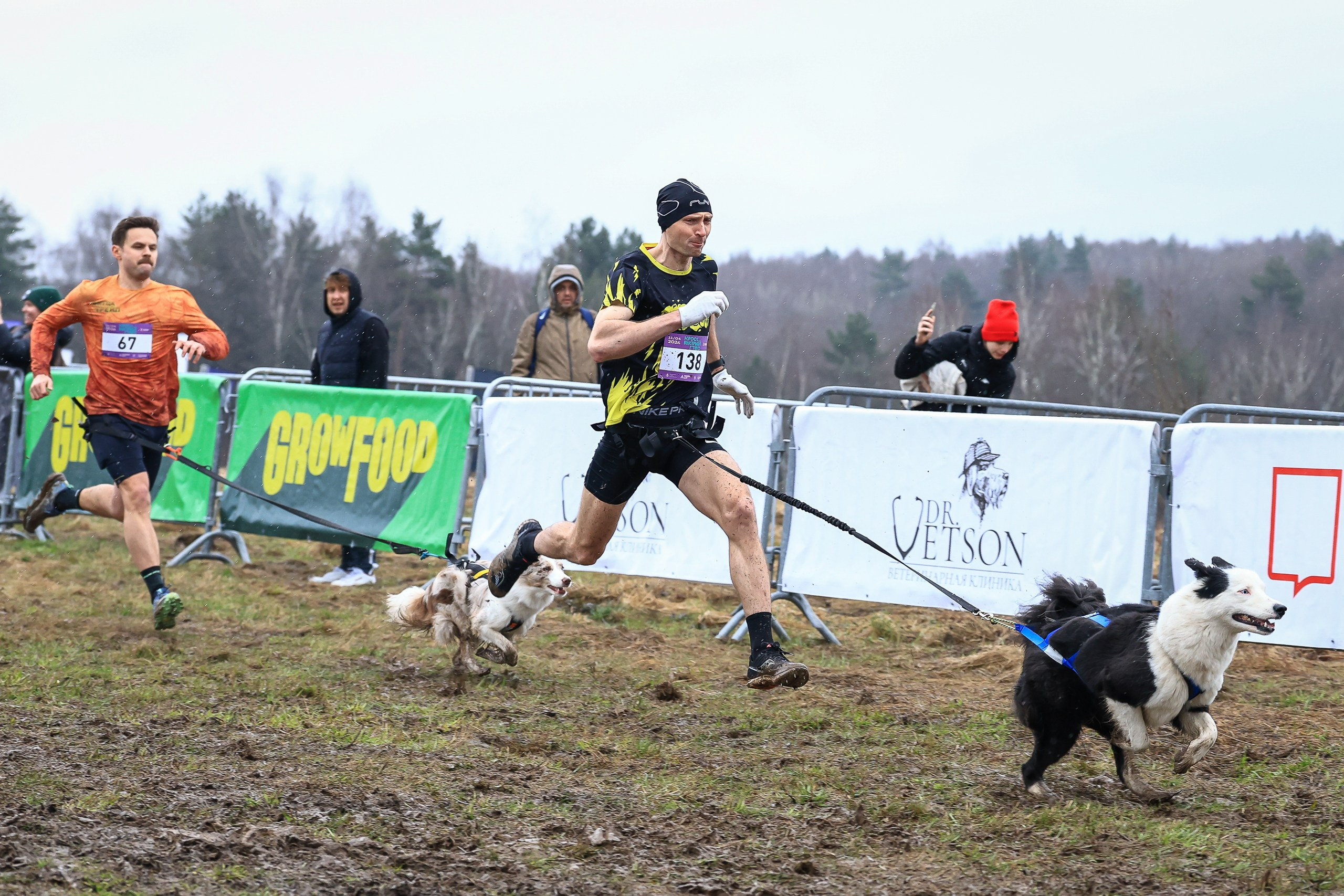 Быстрый Пёс!. Свадебная фотосъёмка в Москве, Туле