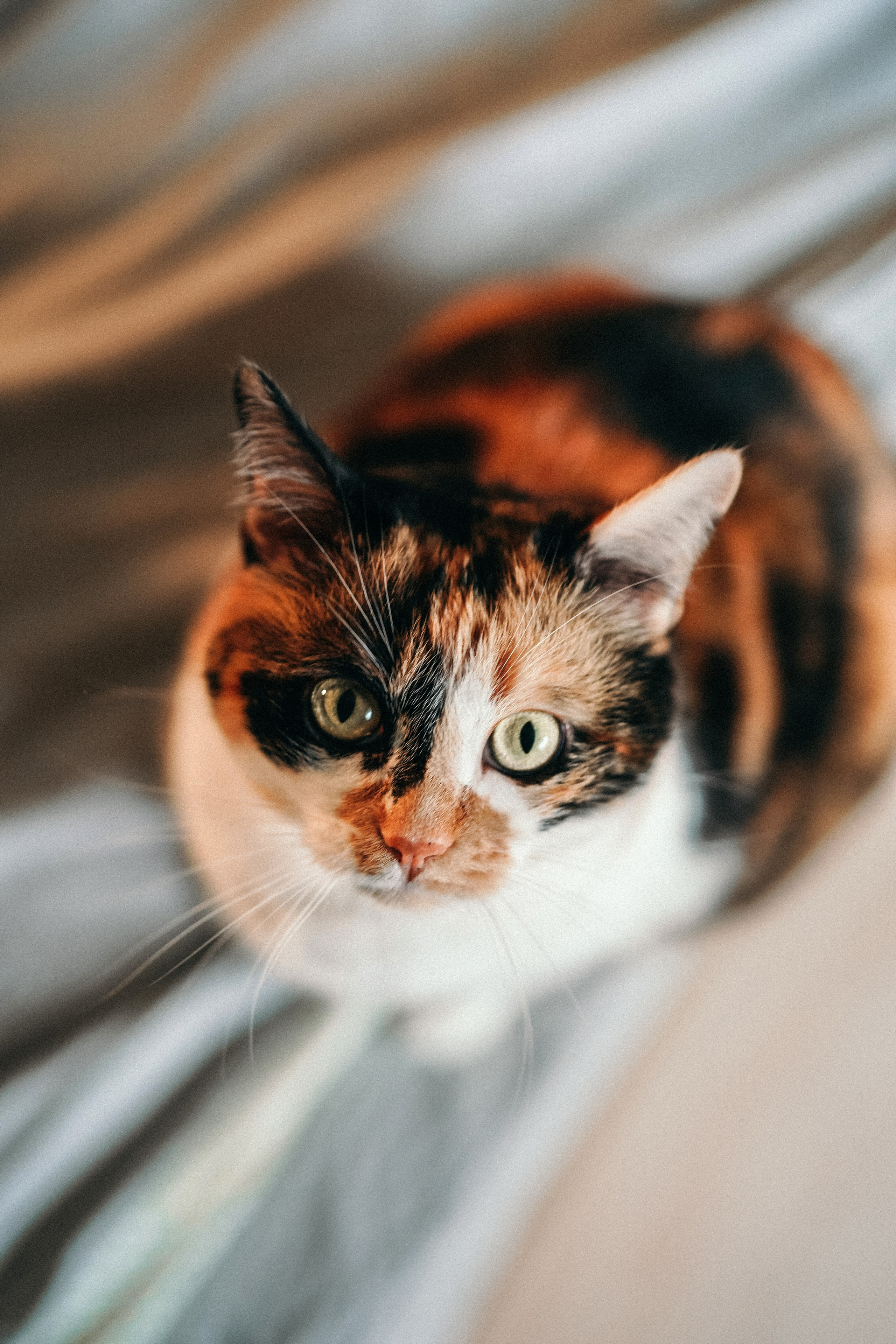 Домашняя фотосессия Ирины и Киры. Детский, семейный и ньюборн фотограф в Москве Юлия Шуарт