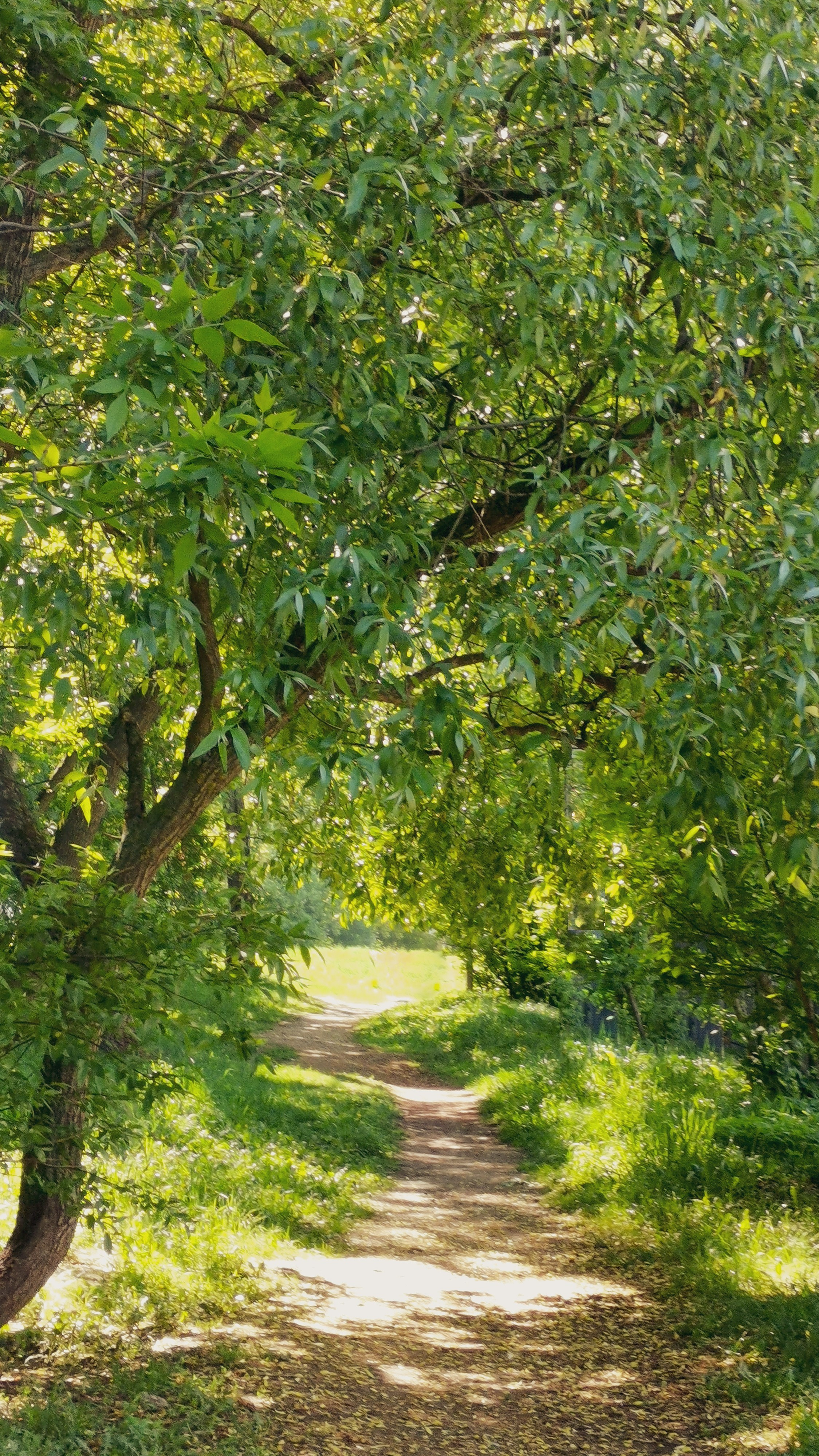 Академия фотографии. Фото/Ретушь/Обучение