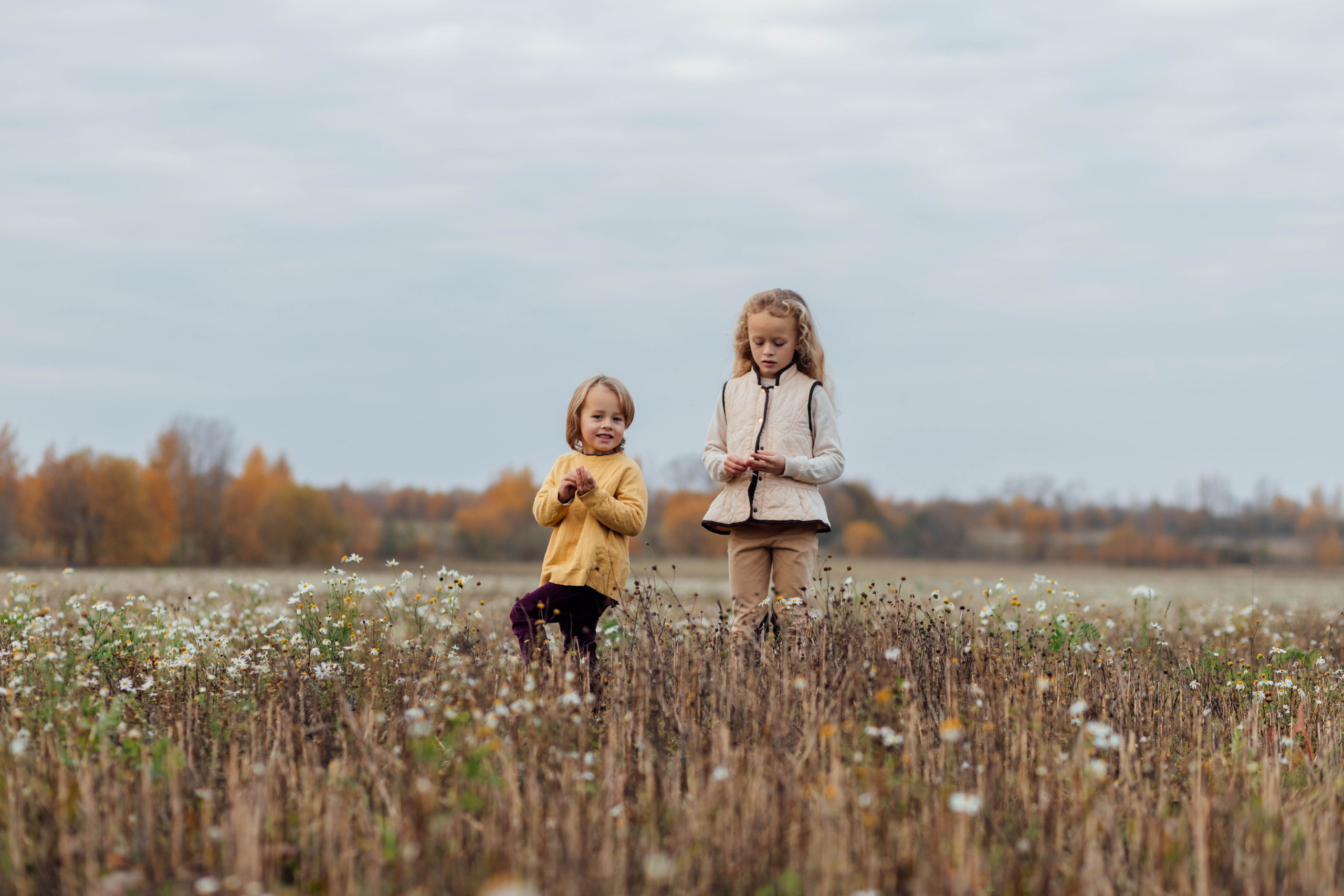 УСЛУГИ. Семейный Фотограф в Санкт-Петербурге Пушкин Анастасия Дьяконенкова