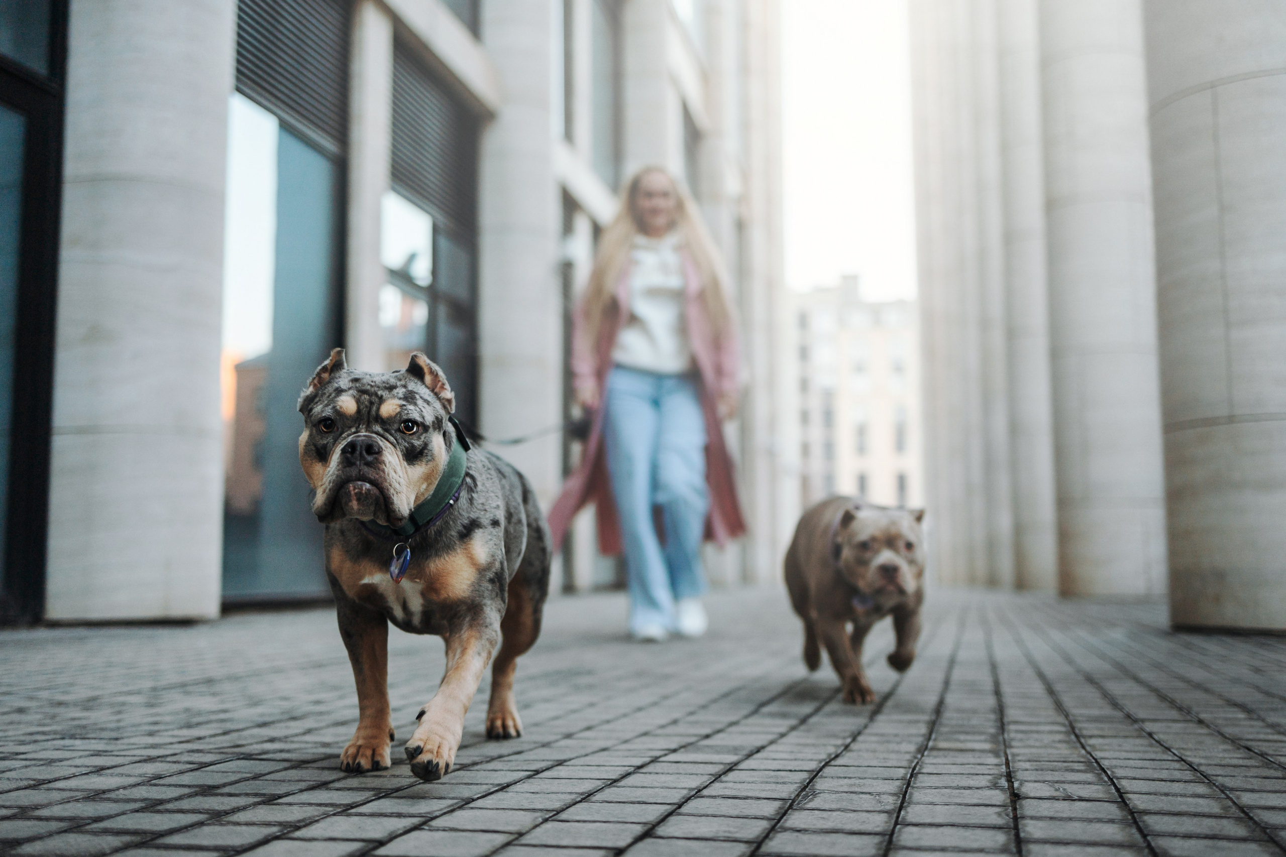 Лера и ее булочки. Фотограф — Анималист | Санкт-Петербург