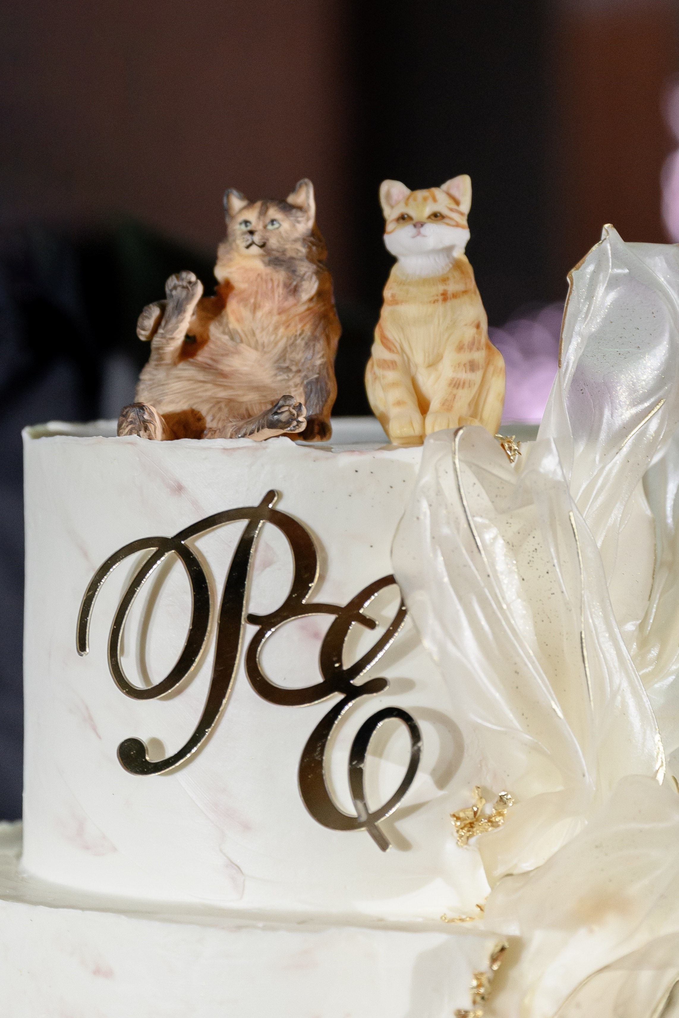 Лето, кроксы и котики. Backpackweddings фотограф и видеограф Ростов-на-Дону Сочи