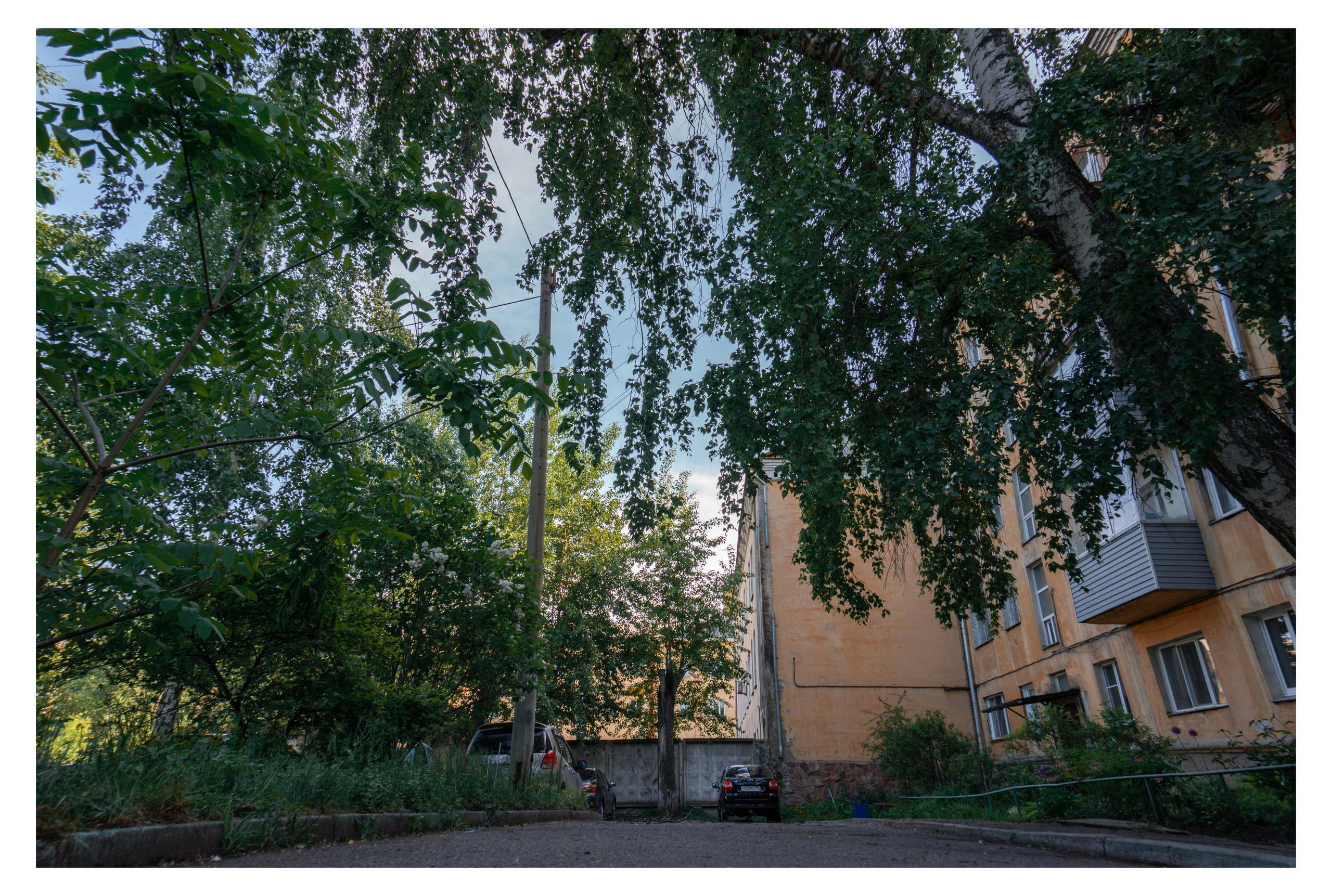 03.06.2025 | Красноярск. Kuznetsov | Фотограф в Красноярске