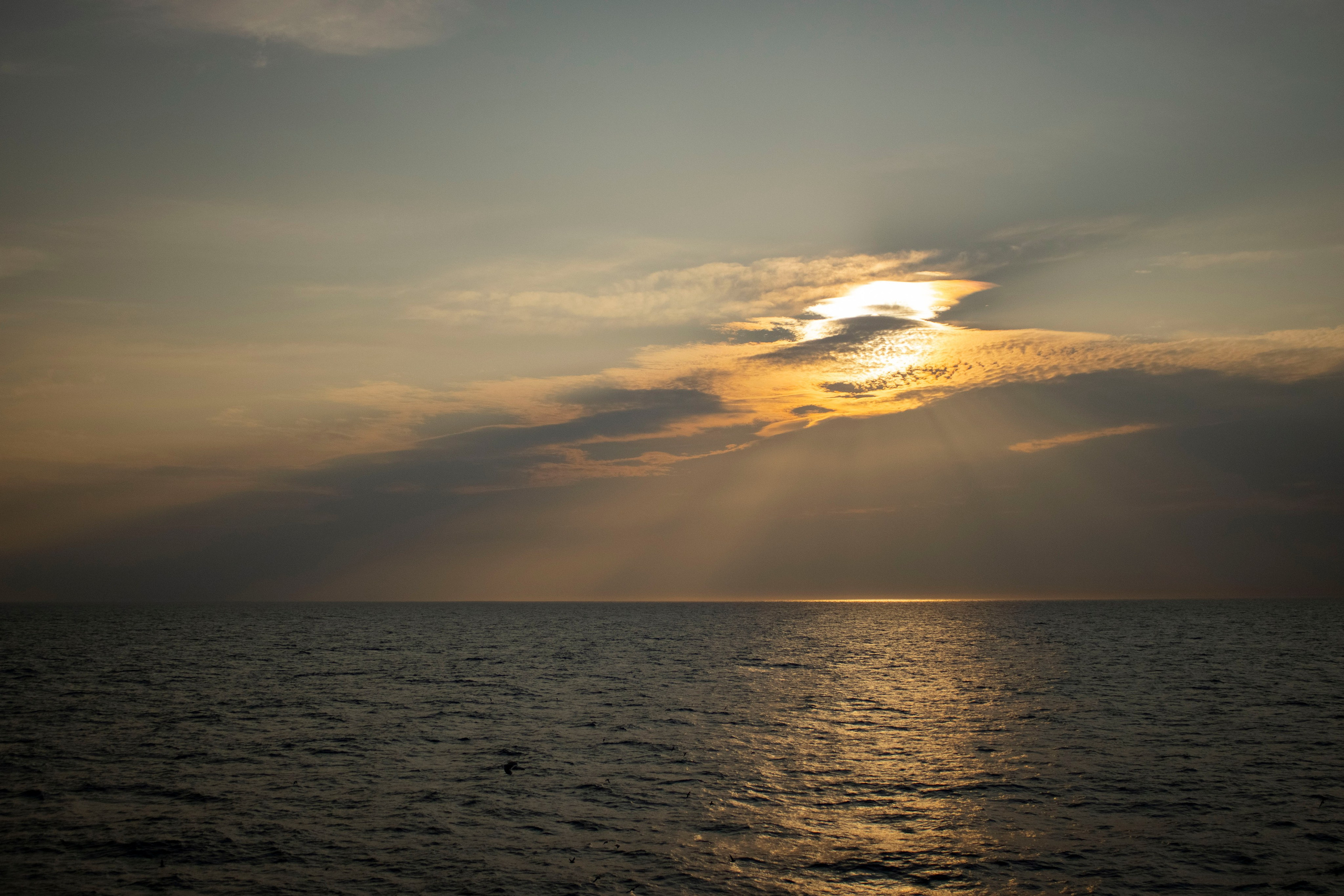 Когда я в море. Часть 1. Фотограф г. Владивосток