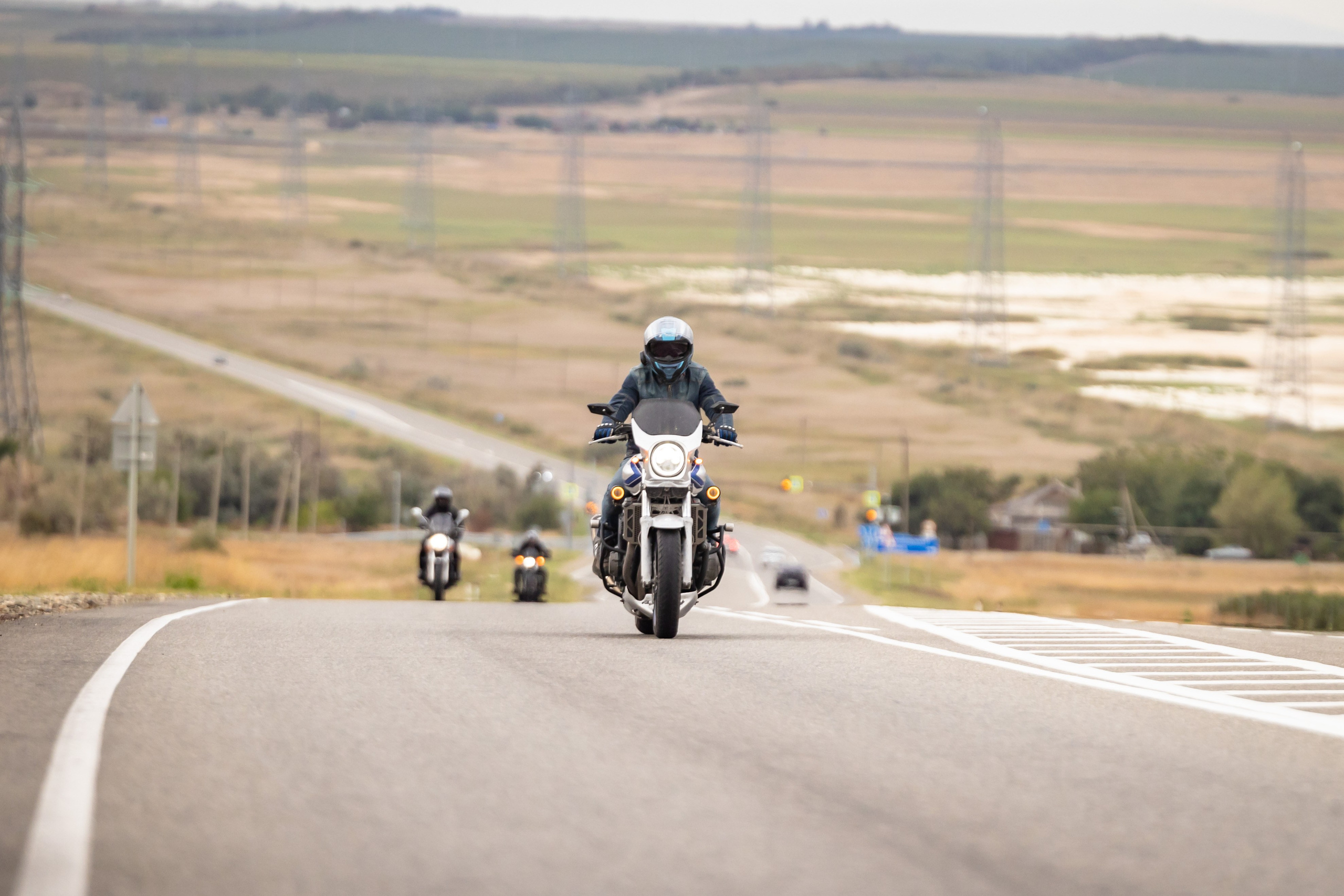 Южное Сафари в Тамани. Сентябрь 2024. Фотограф Владимир Охрименко