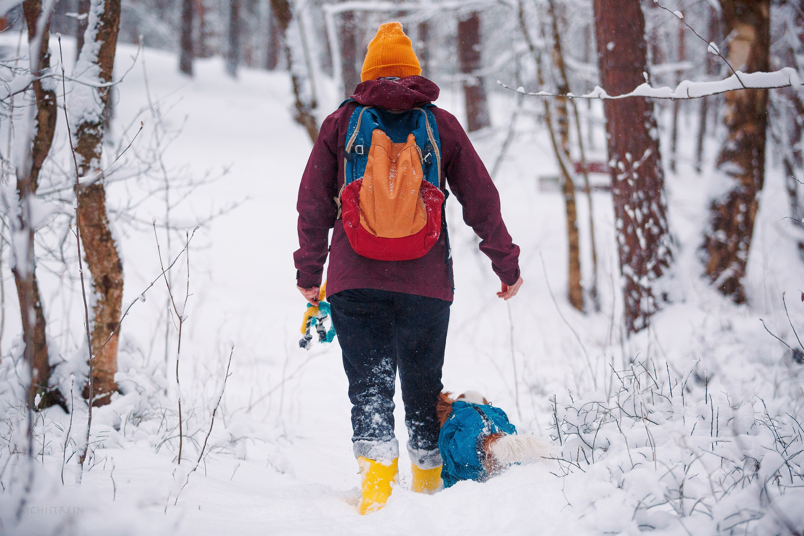 Внезапно апрельская зима. Фотограф-анималист Наталия Чистюхина в г. Сосновый Бор и ЛО