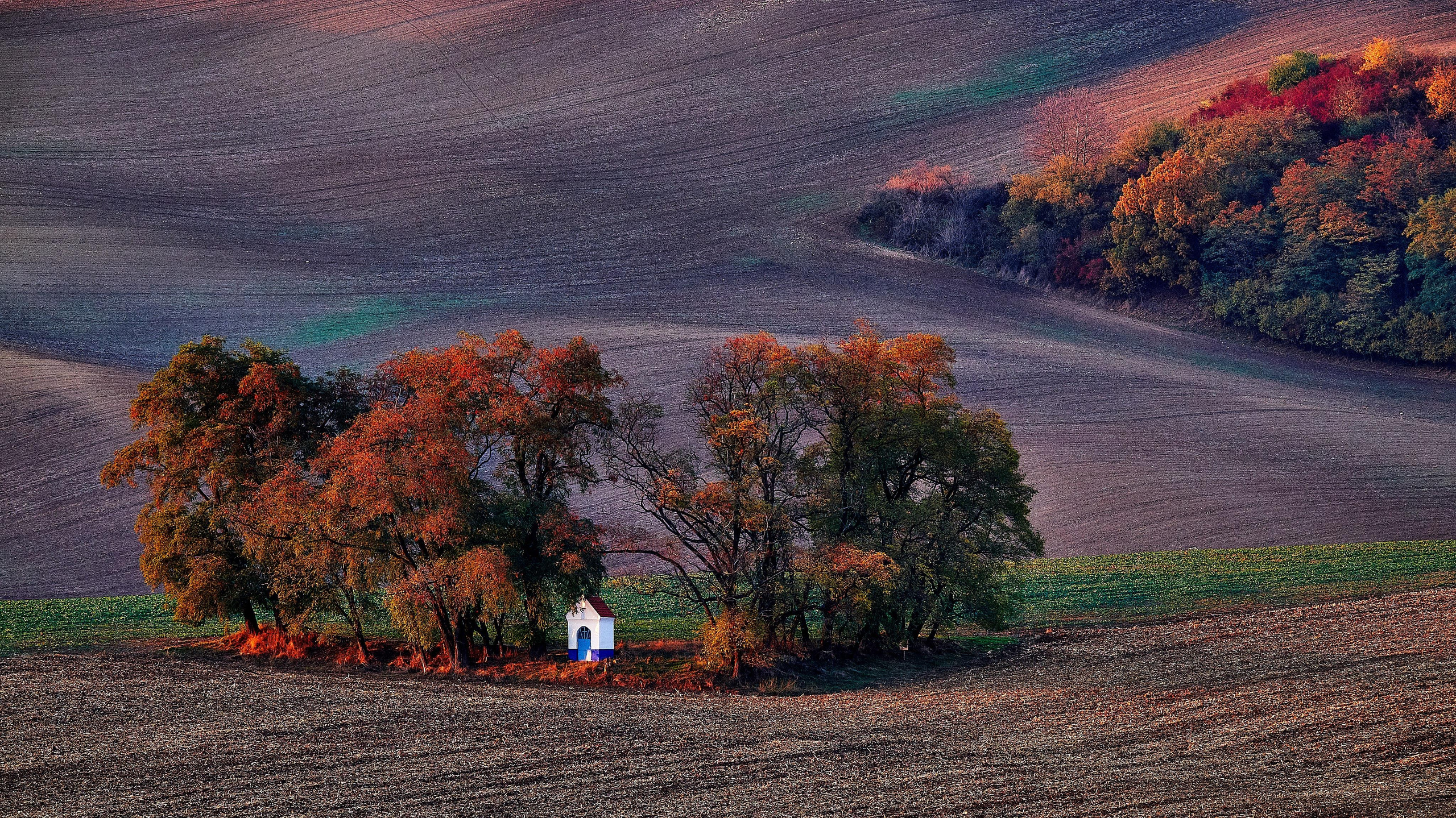 Пейзажи. Портретный фотограф в Москве Пётр Дедковский