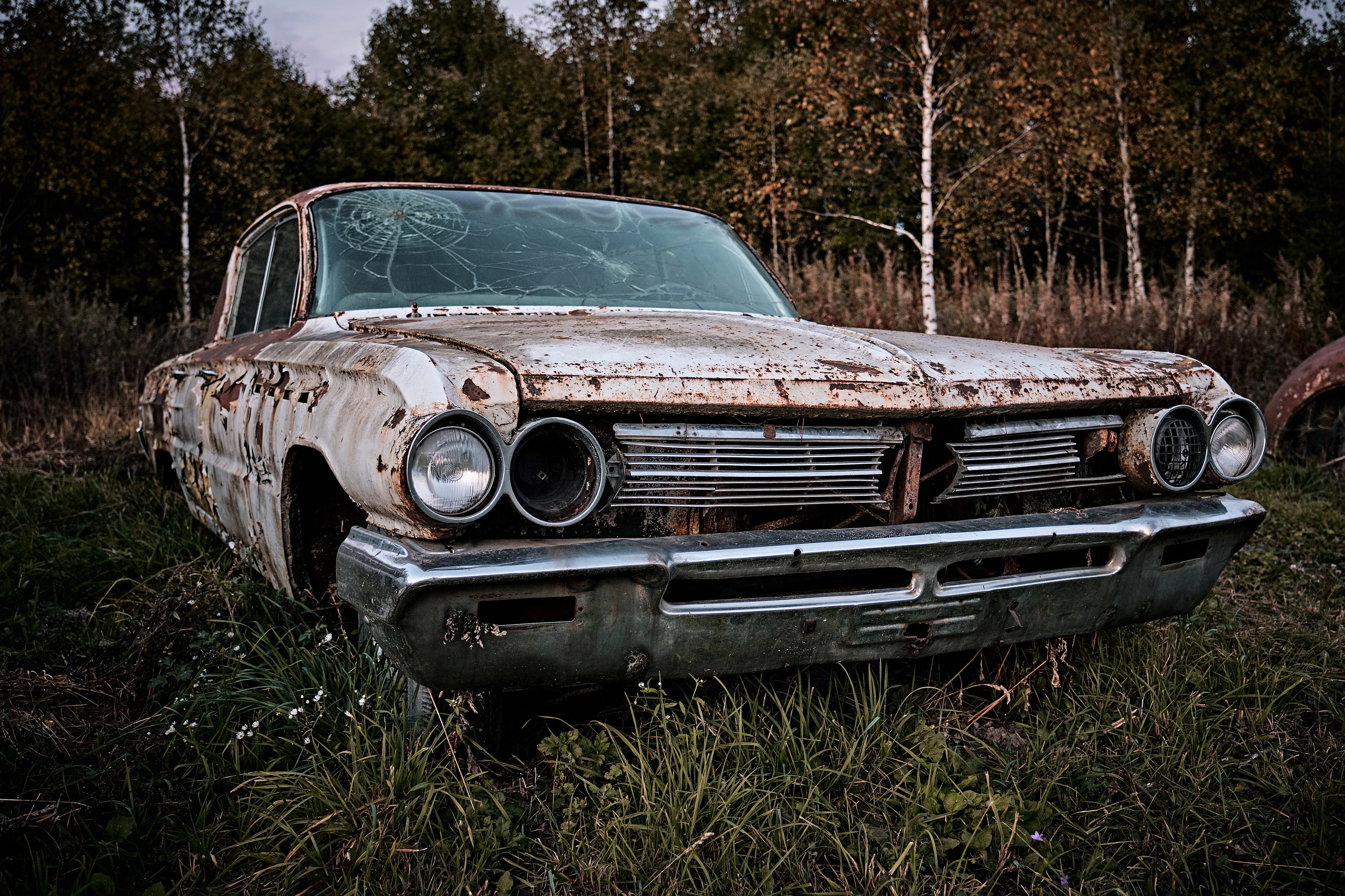 Пейзажи. Портретный фотограф в Москве Пётр Дедковский