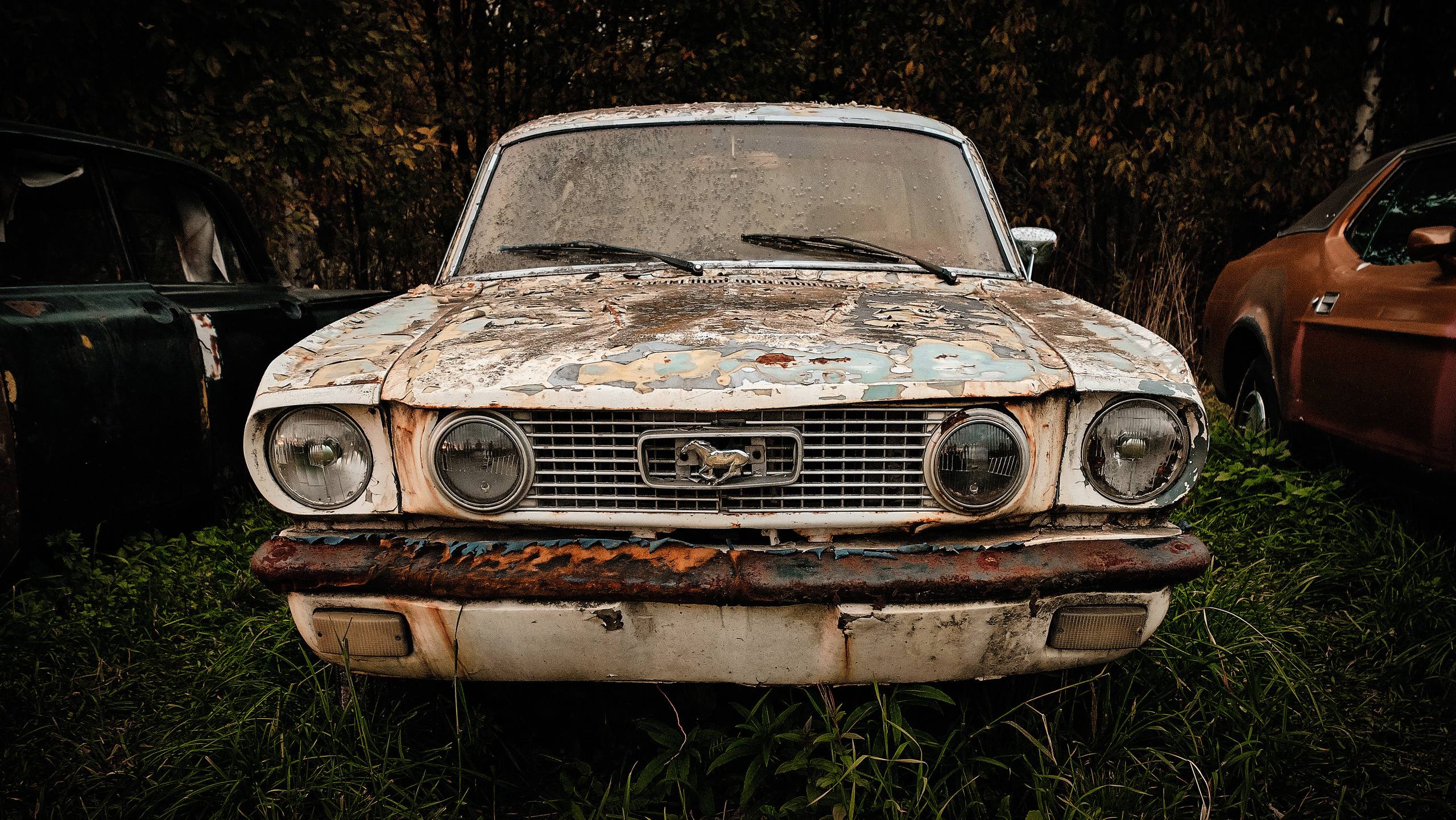 Пейзажи. Портретный фотограф в Москве Пётр Дедковский