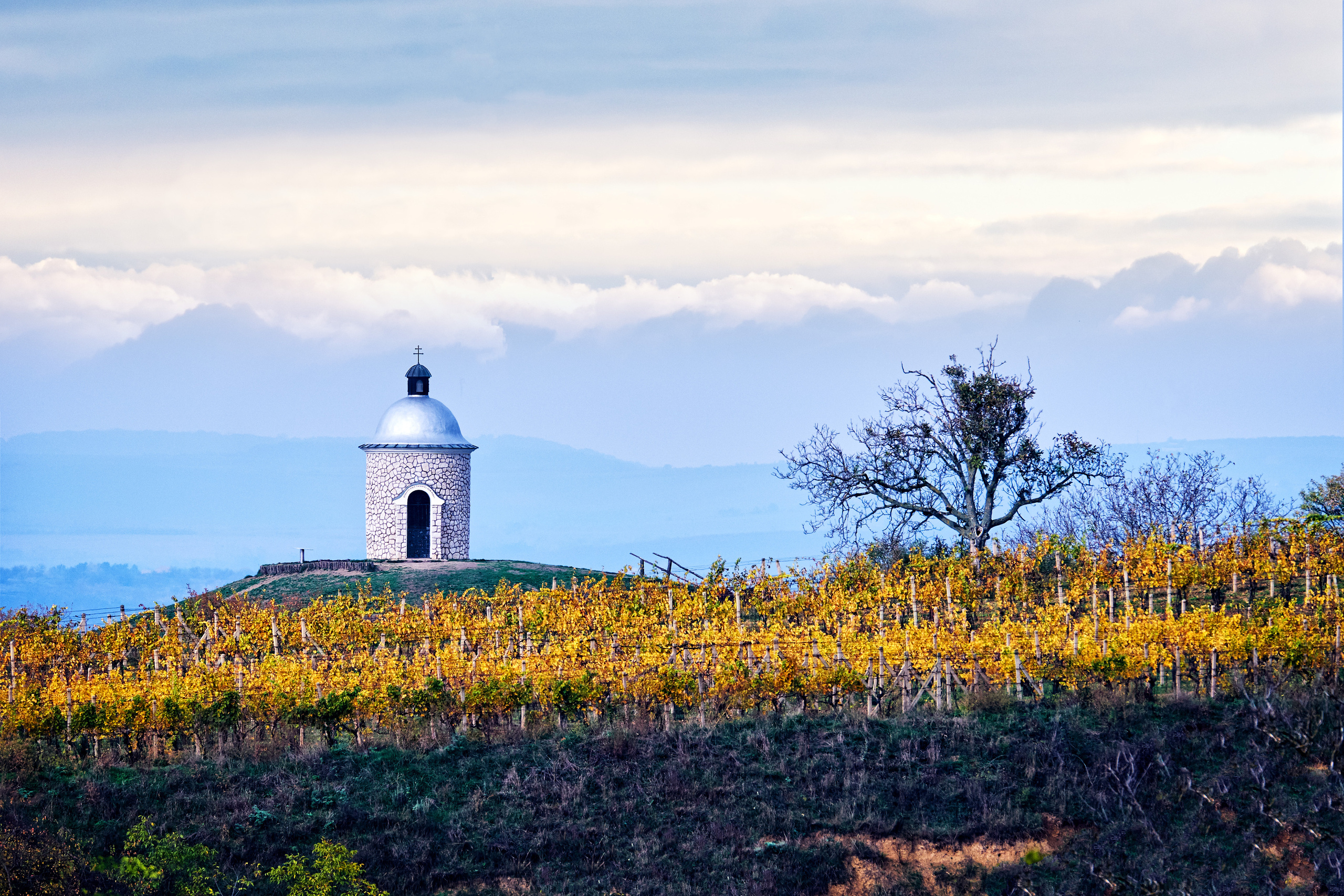 Пейзажи. Портретный фотограф в Москве Пётр Дедковский