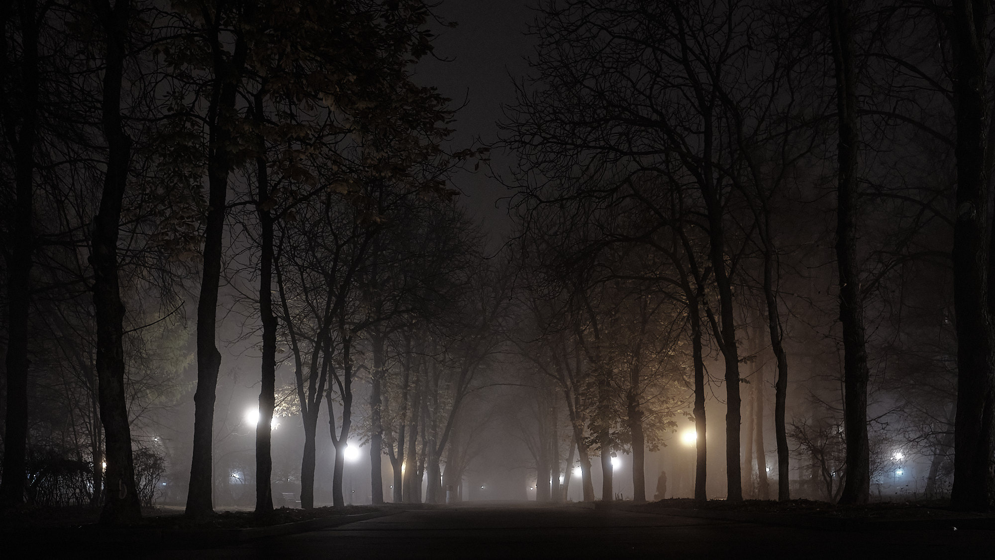 Пейзажи. Портретный фотограф в Москве Пётр Дедковский