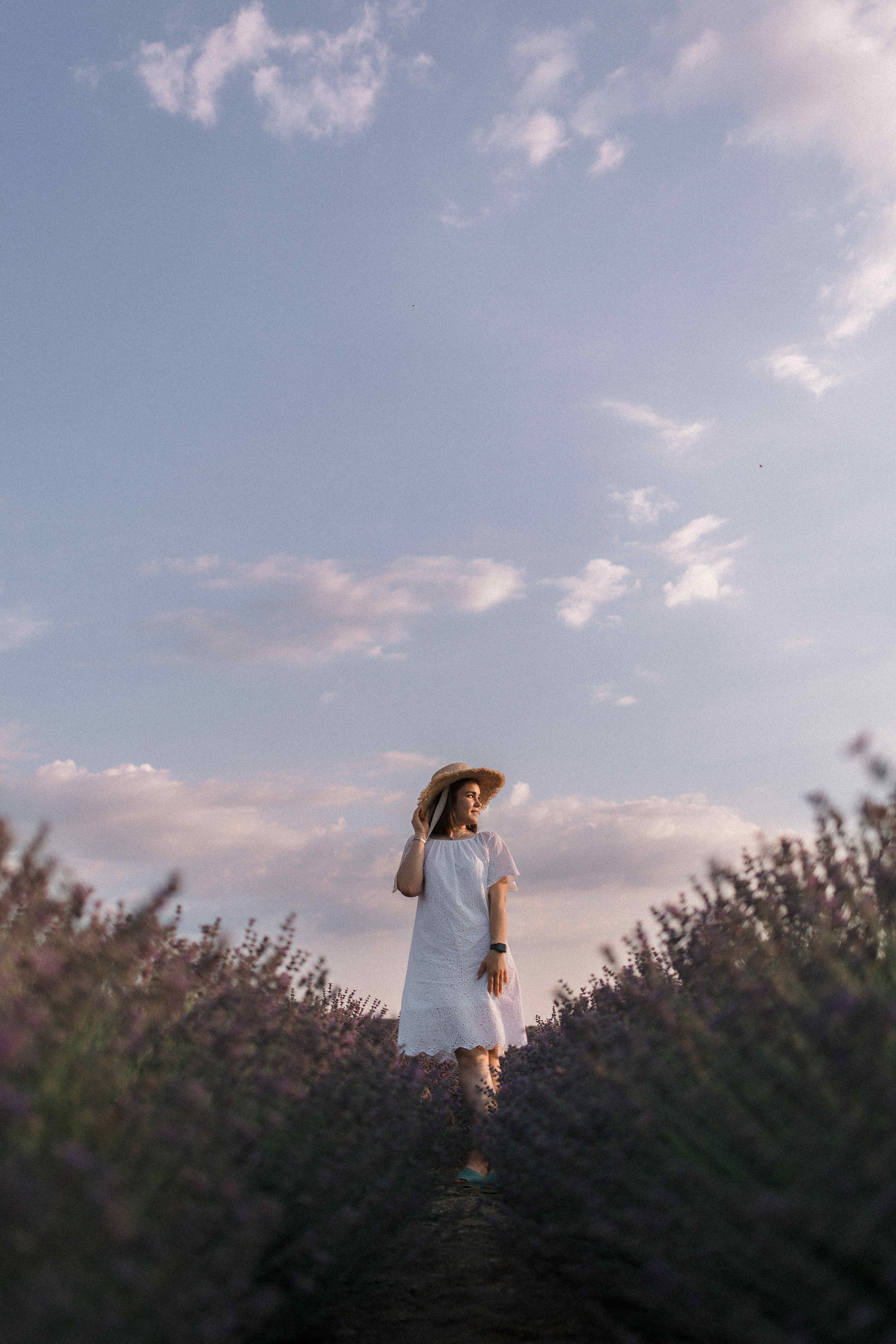 Лаванда. Свадебный фотограф Мироманов Николай в Крыму