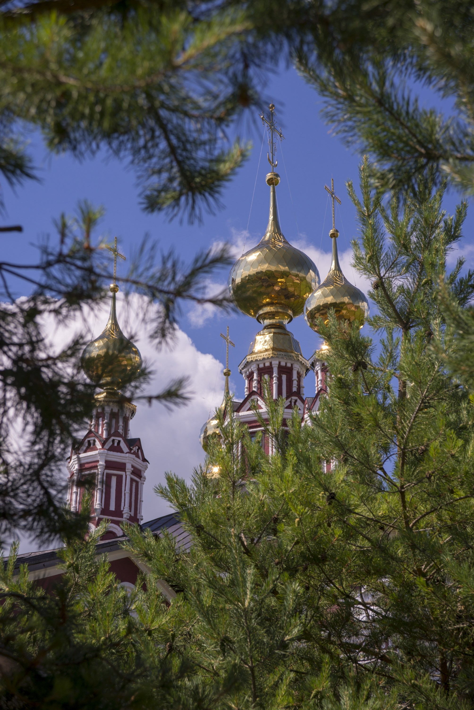 Суздаль. Июнь 2019. Игорь Жучков. Россия увиденная глазами путешествующего фотографа