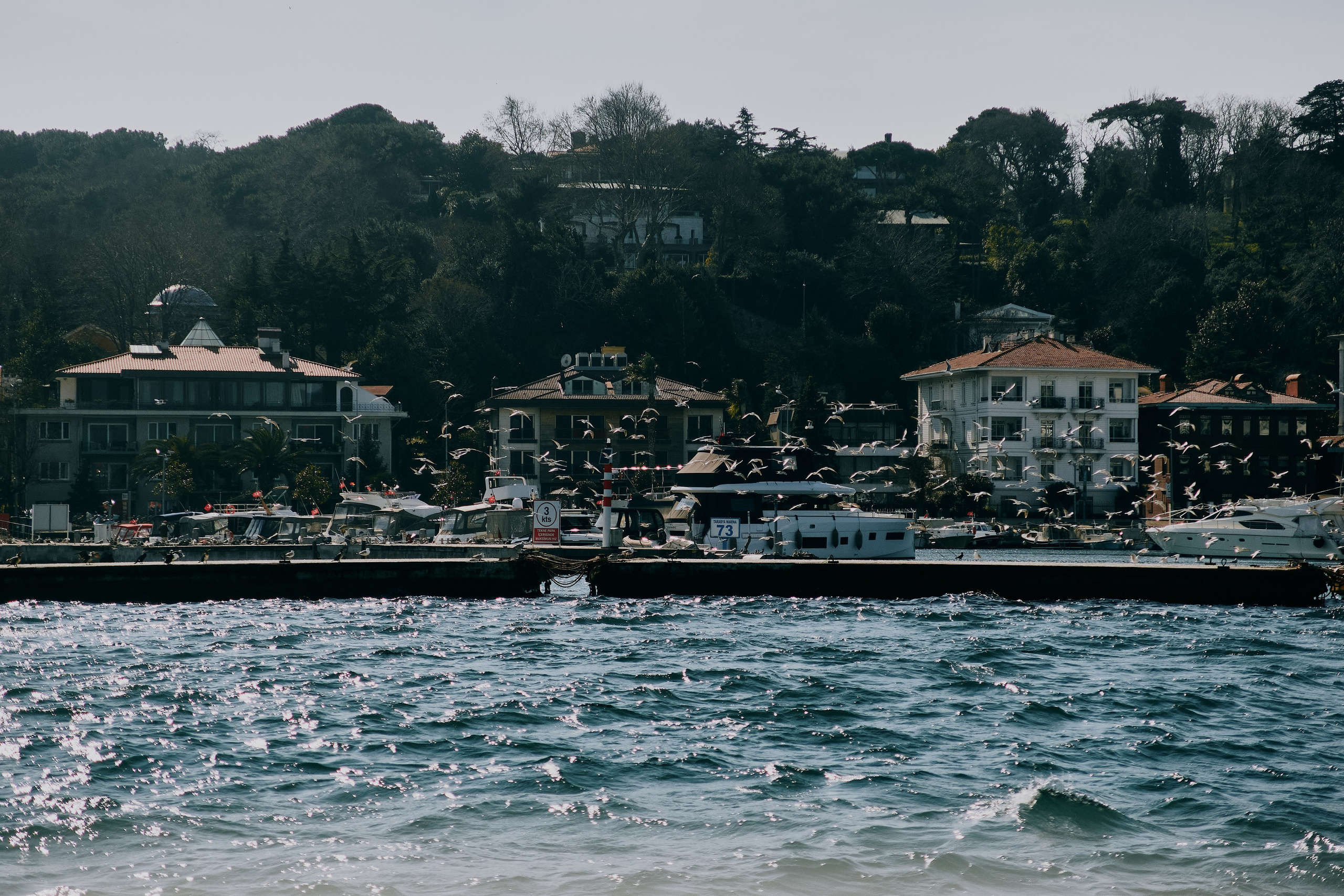 Travel. Фотограф в Челябинске — Дмитрий Носов