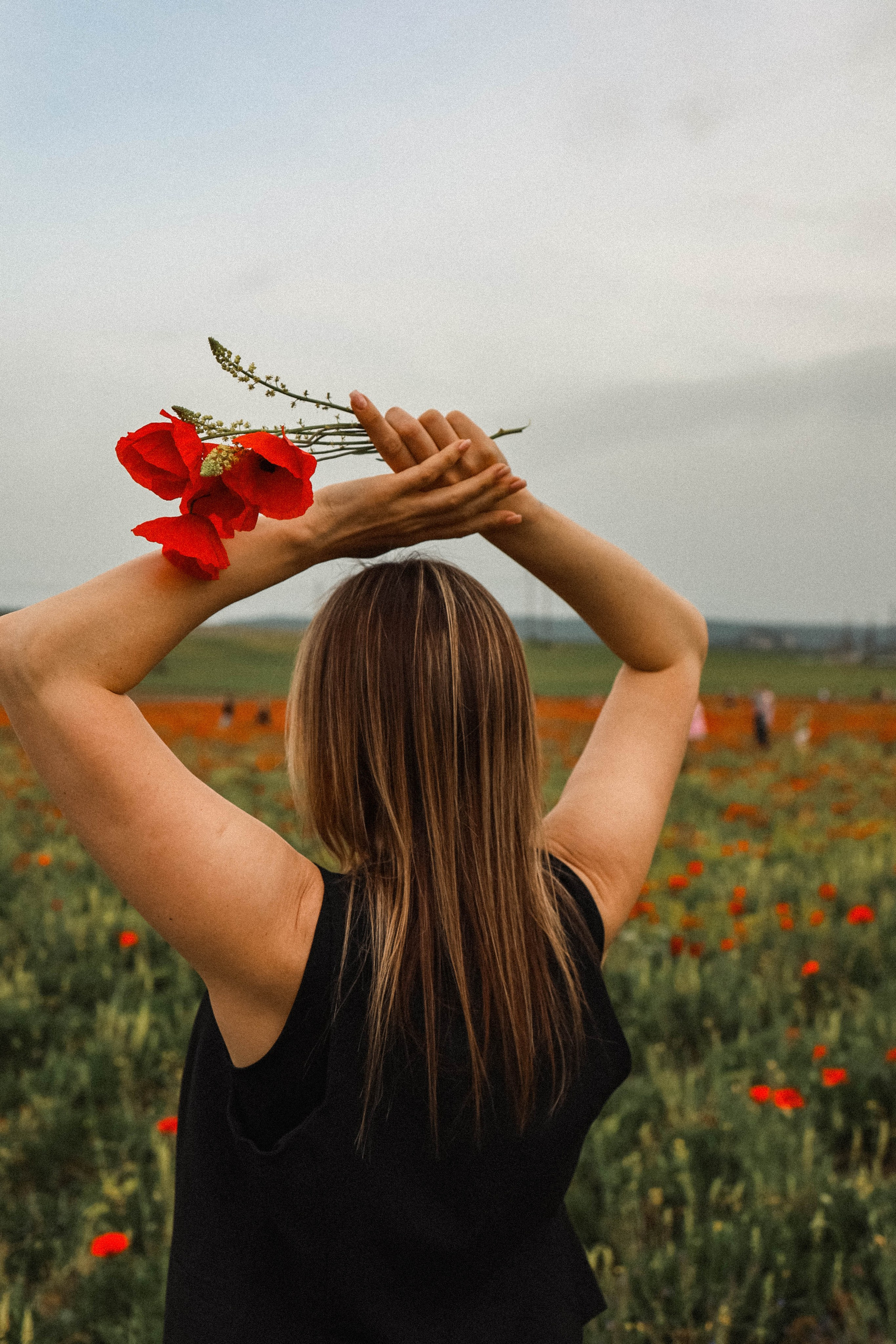Маки. Фотограф Немазенко Ольга