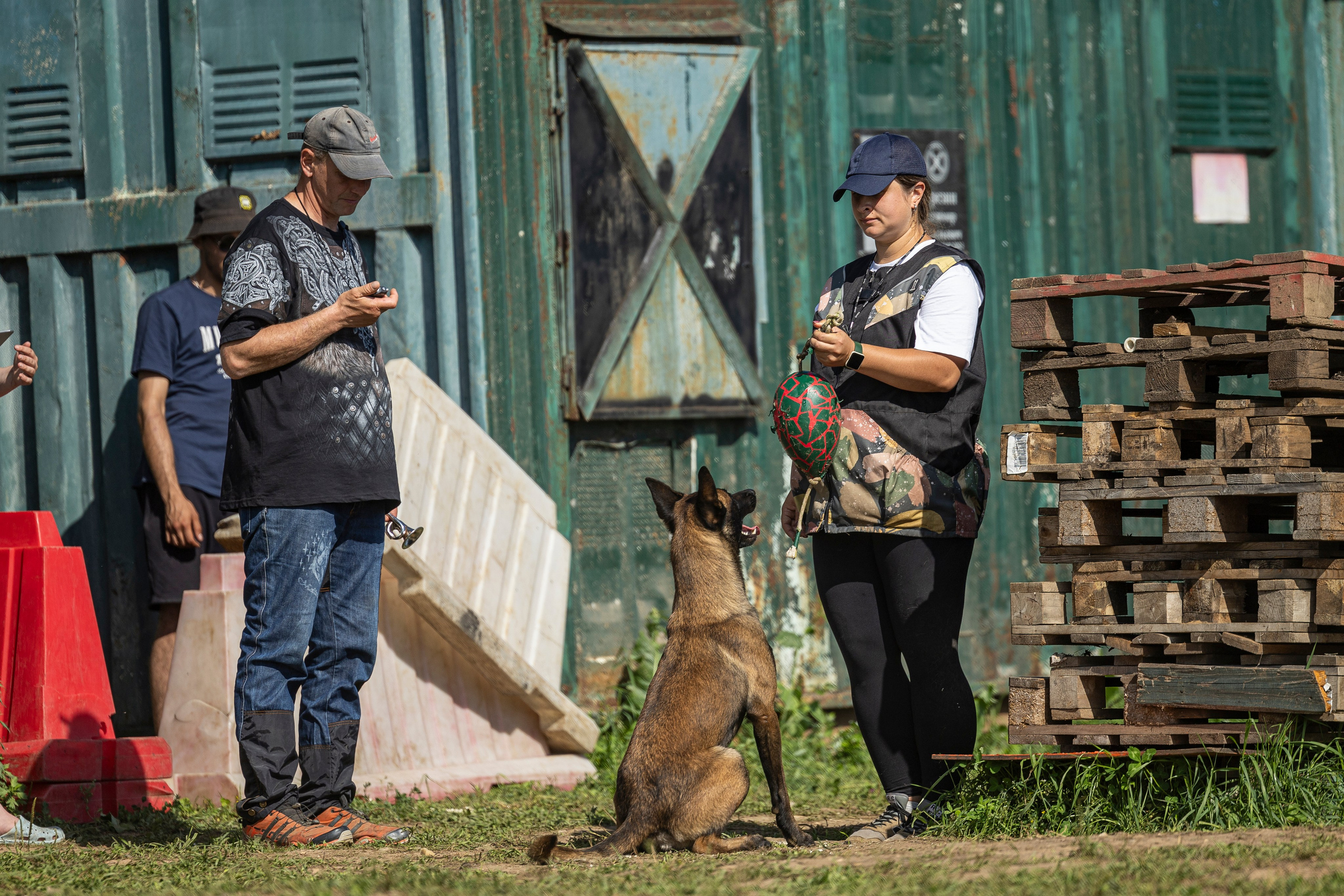 Соревнования по Мондьорингу г. Вологда 10-11.08.2024. Фотограф-анималист Анна Маринич