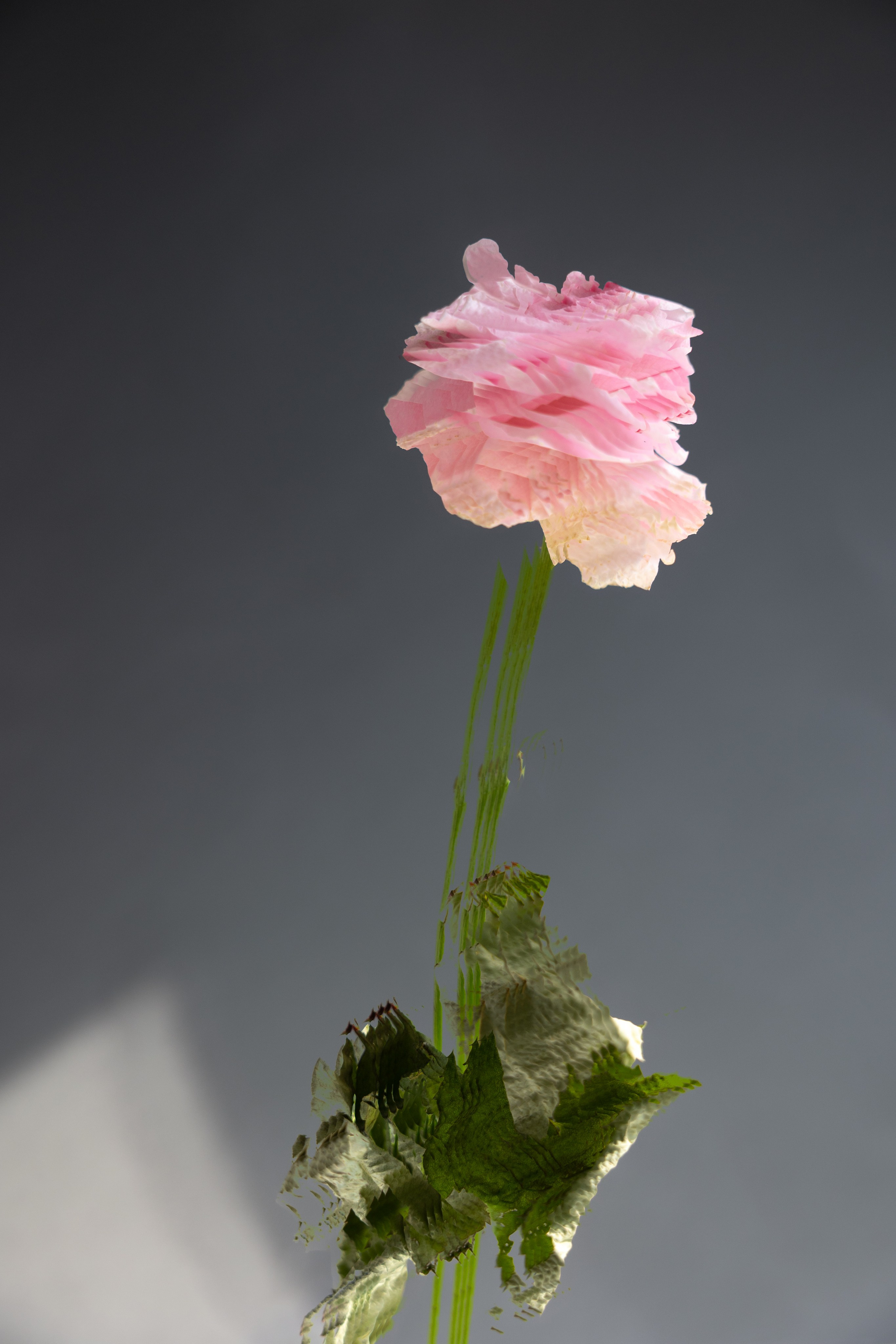 Art prints. Фотограф алина стерхова, алина стерхова фотограф, фотограф москва