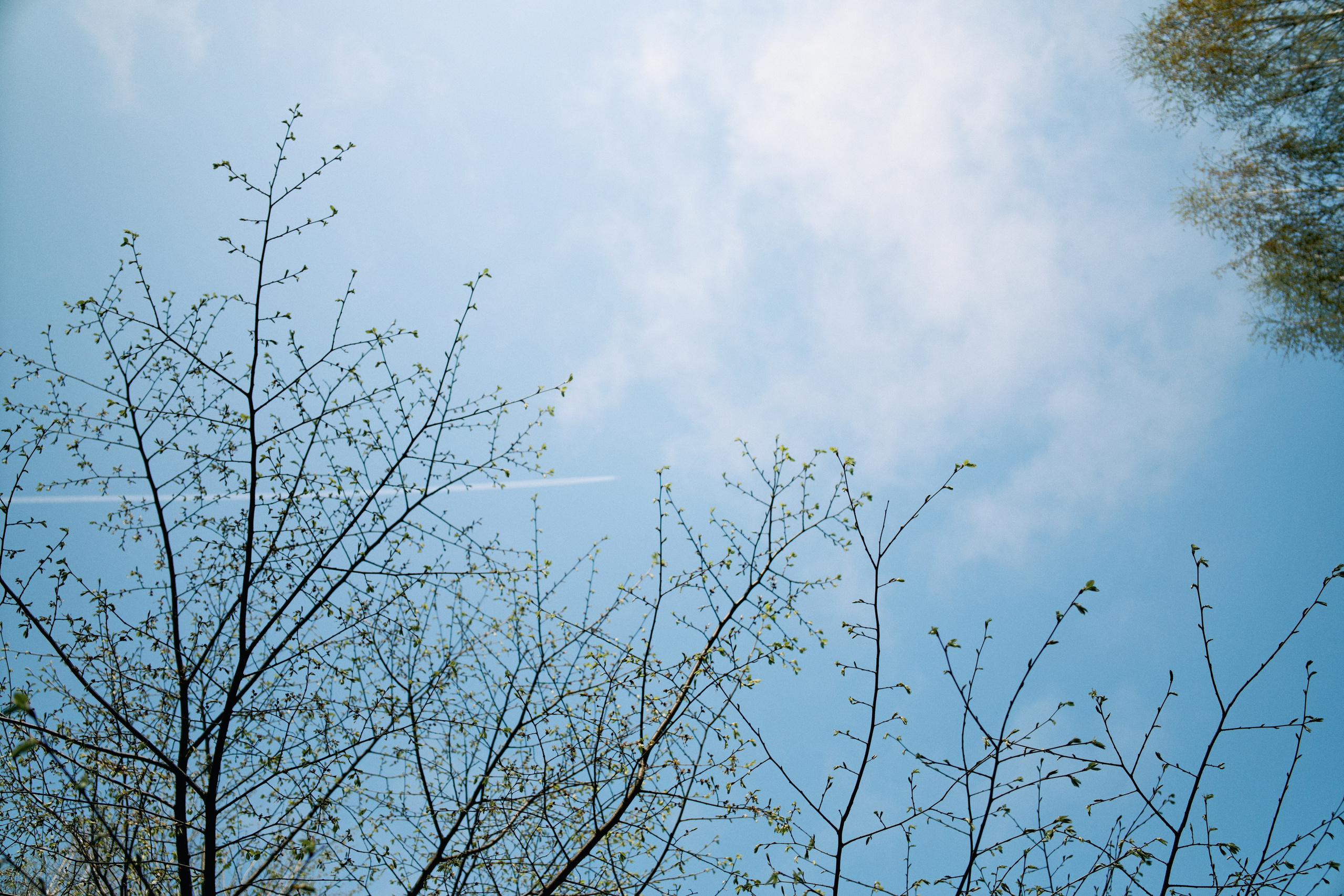 Бутик-отель Поле летом. Профессиональный Фотограф во Владимире, в Москве и в Суздале — Полина Романычева