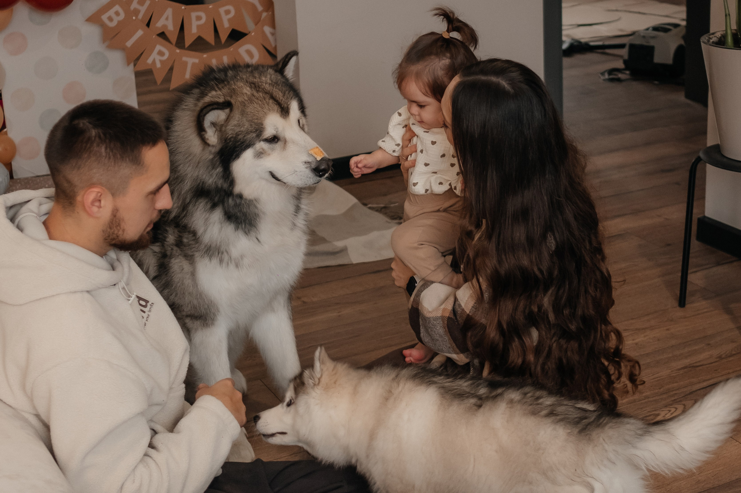 Катя, Саша и Еся | домашняя съемка. Фотограф в Новосибирске Диана Ильиных