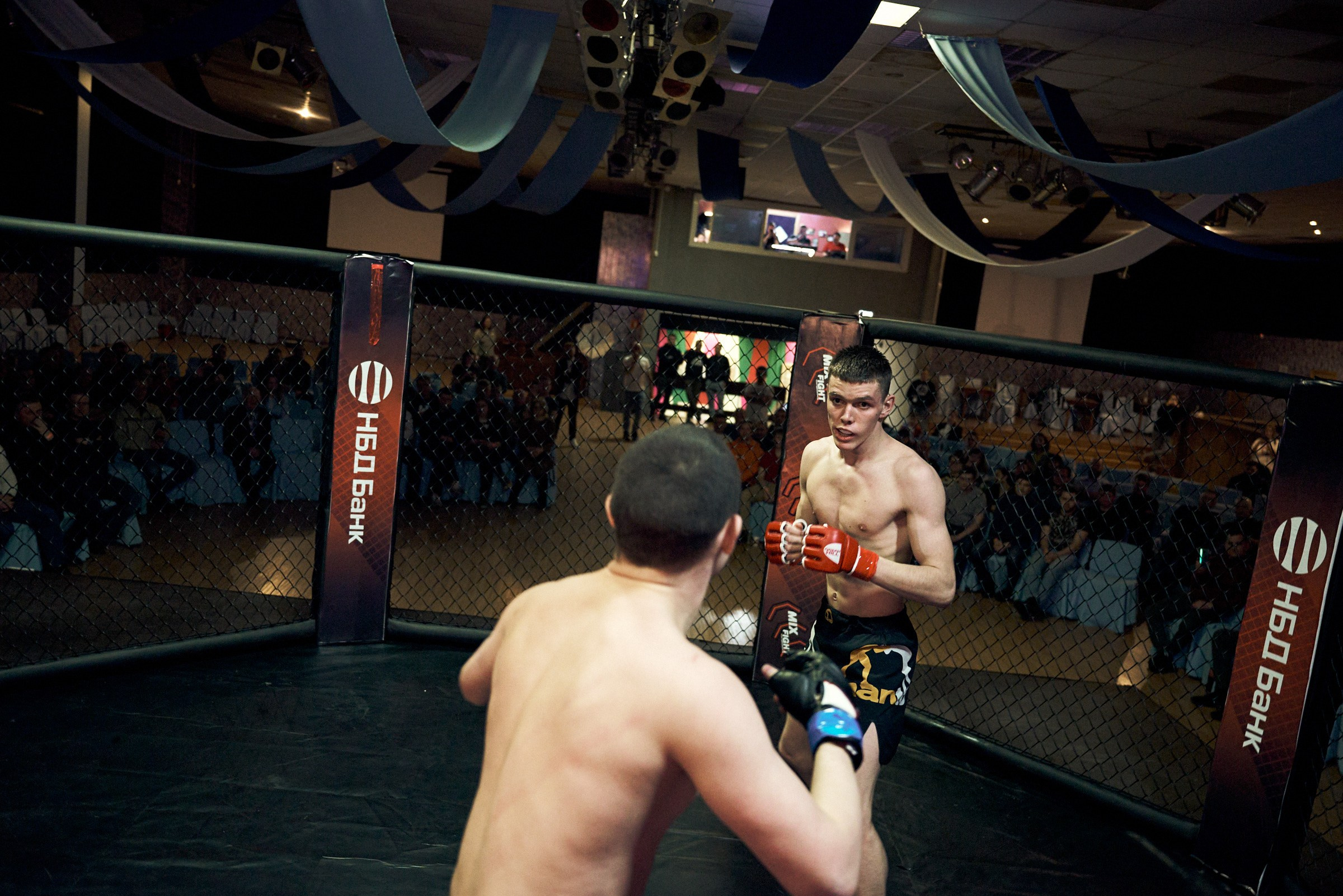 Бои. Маляревич Дмитрий свадебный фотограф