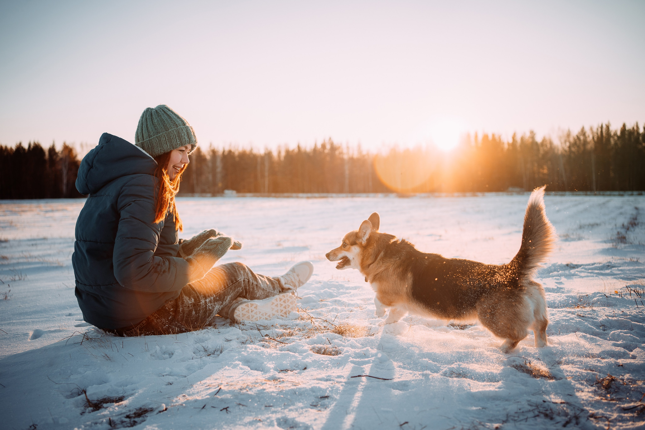 Виктория и Виски. Фотограф-анималист Анастасия Большакова