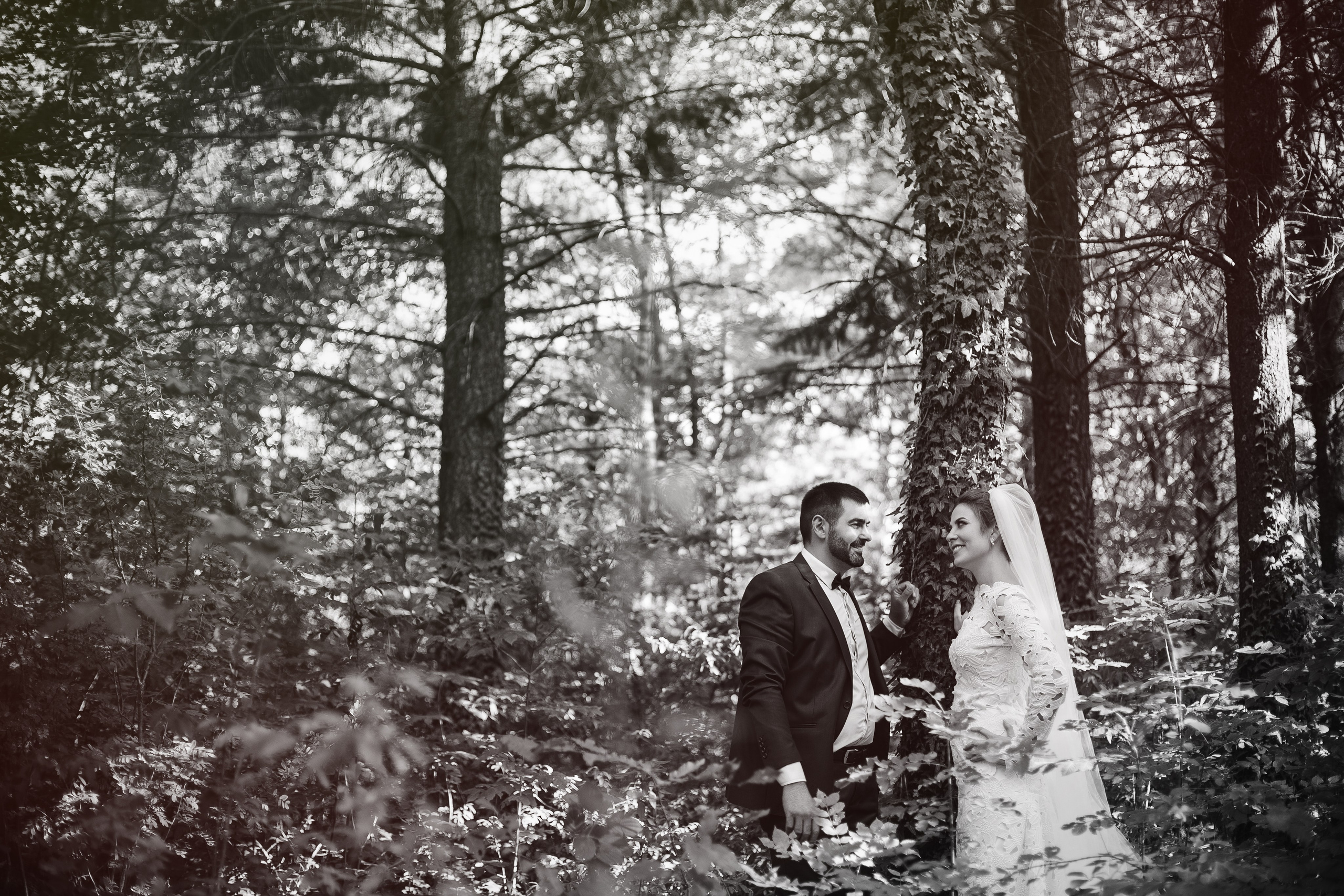 Игорь Тихонов. Фотограф Игорь Тихонов