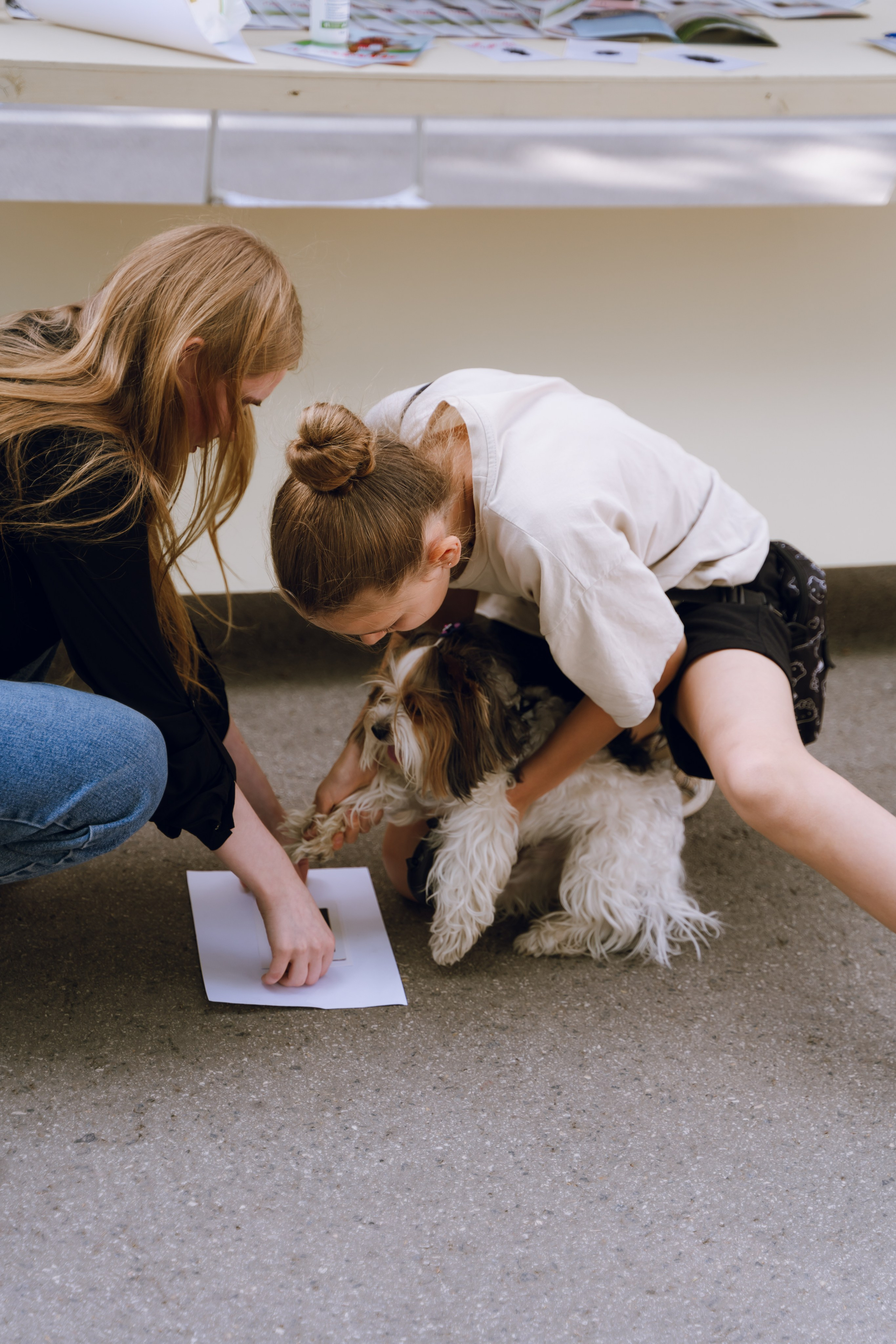 Площадка фестиваля «Мампус и его друзья» в Лесопарке 2025. Фотограф Надежда Погребняк | Рязань | Москва