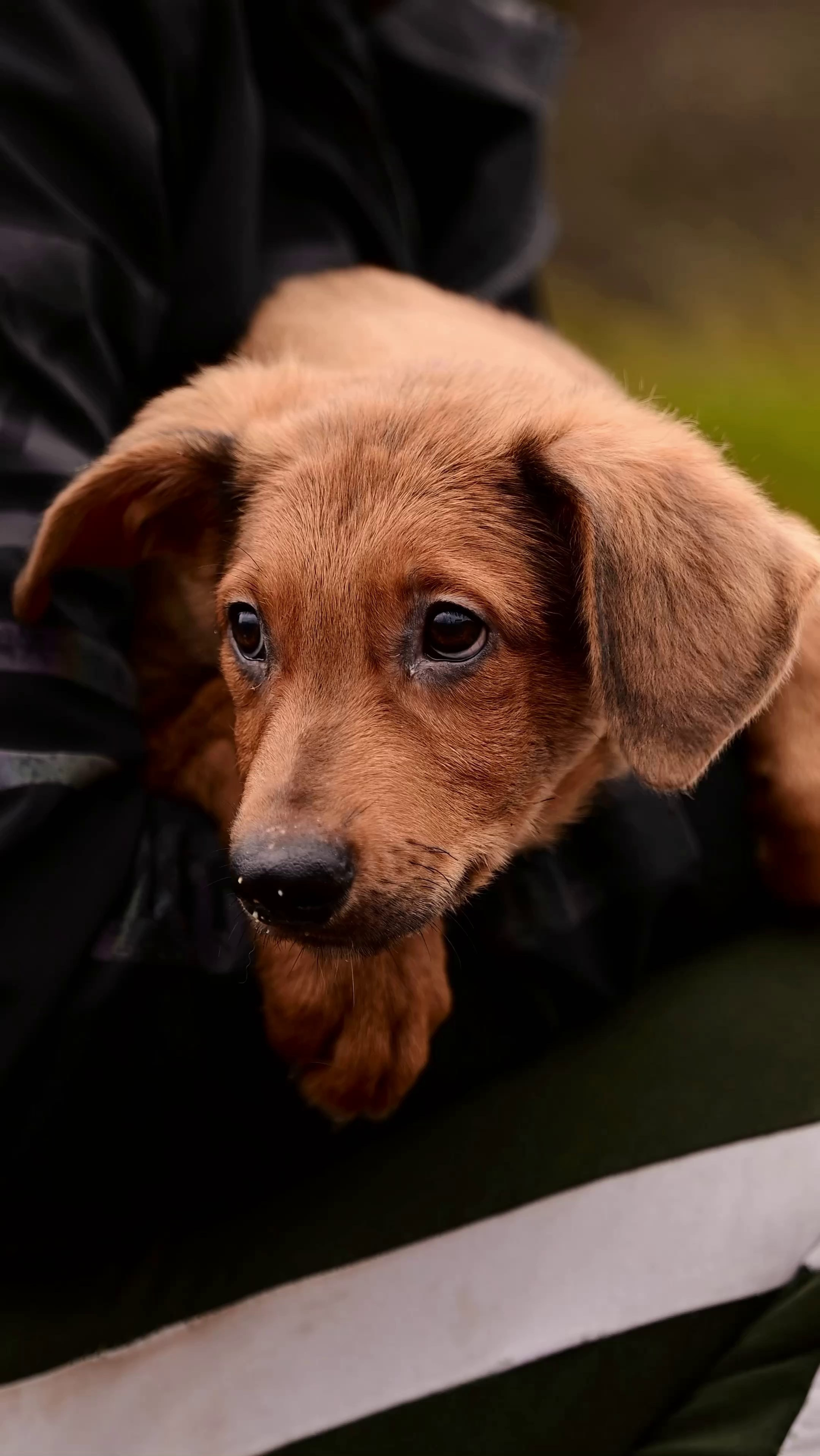 Съёмка для волонтёров (видео). Мила Астахова
