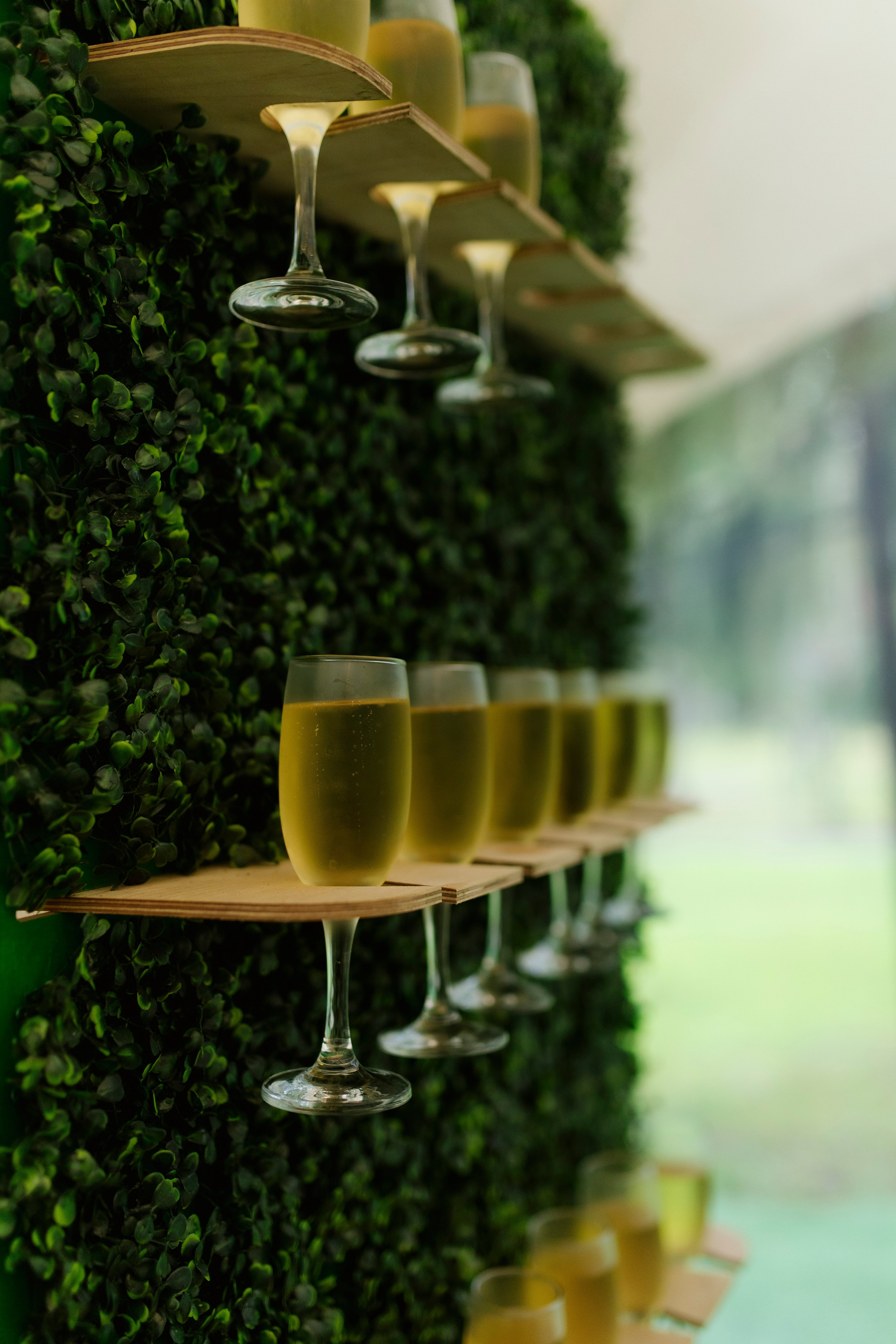 Борис и Юля 23.08.25. Индивидуальный, семейный и свадебный фотограф