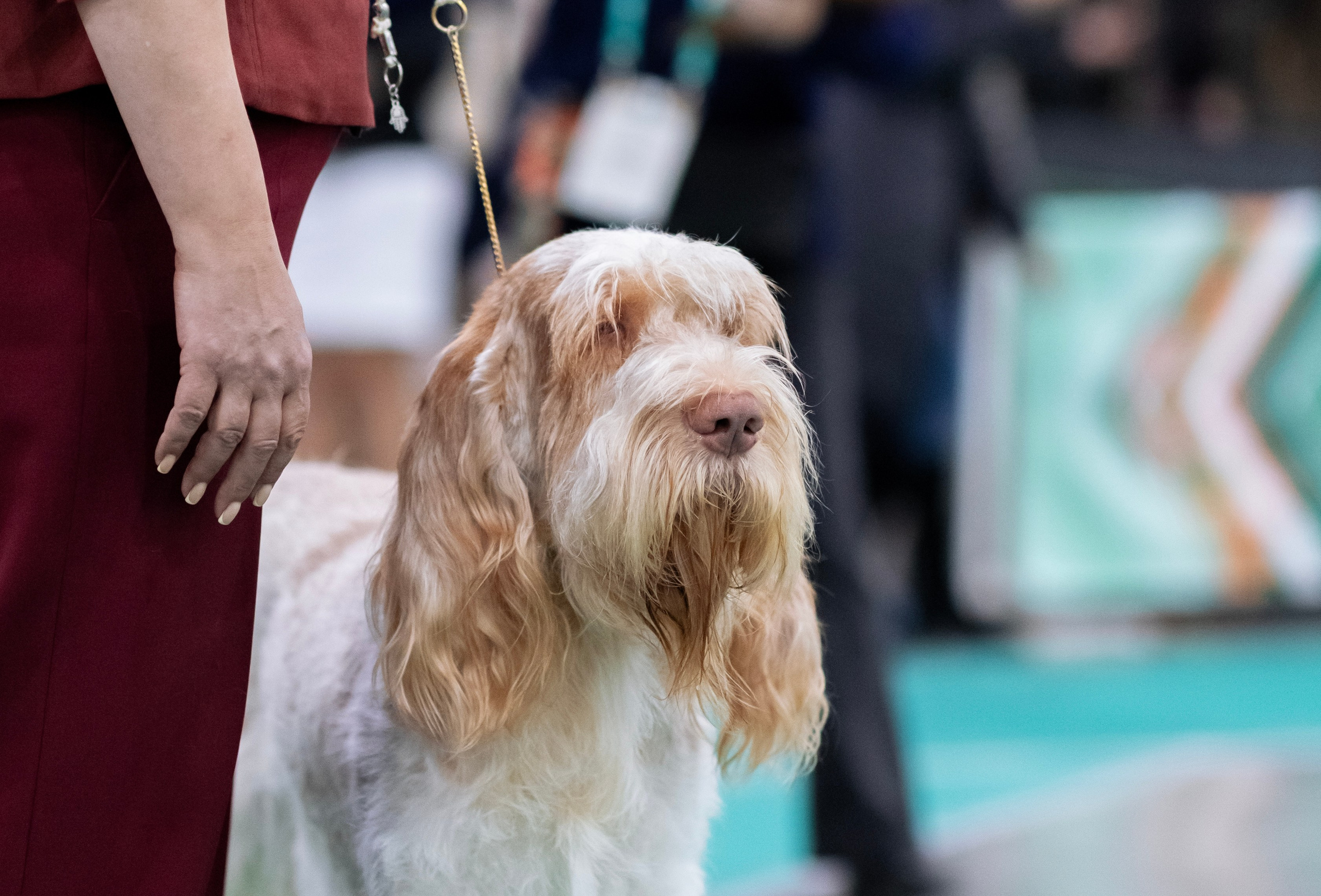 Евразия. Фотограф — анималист Татьяна Ли