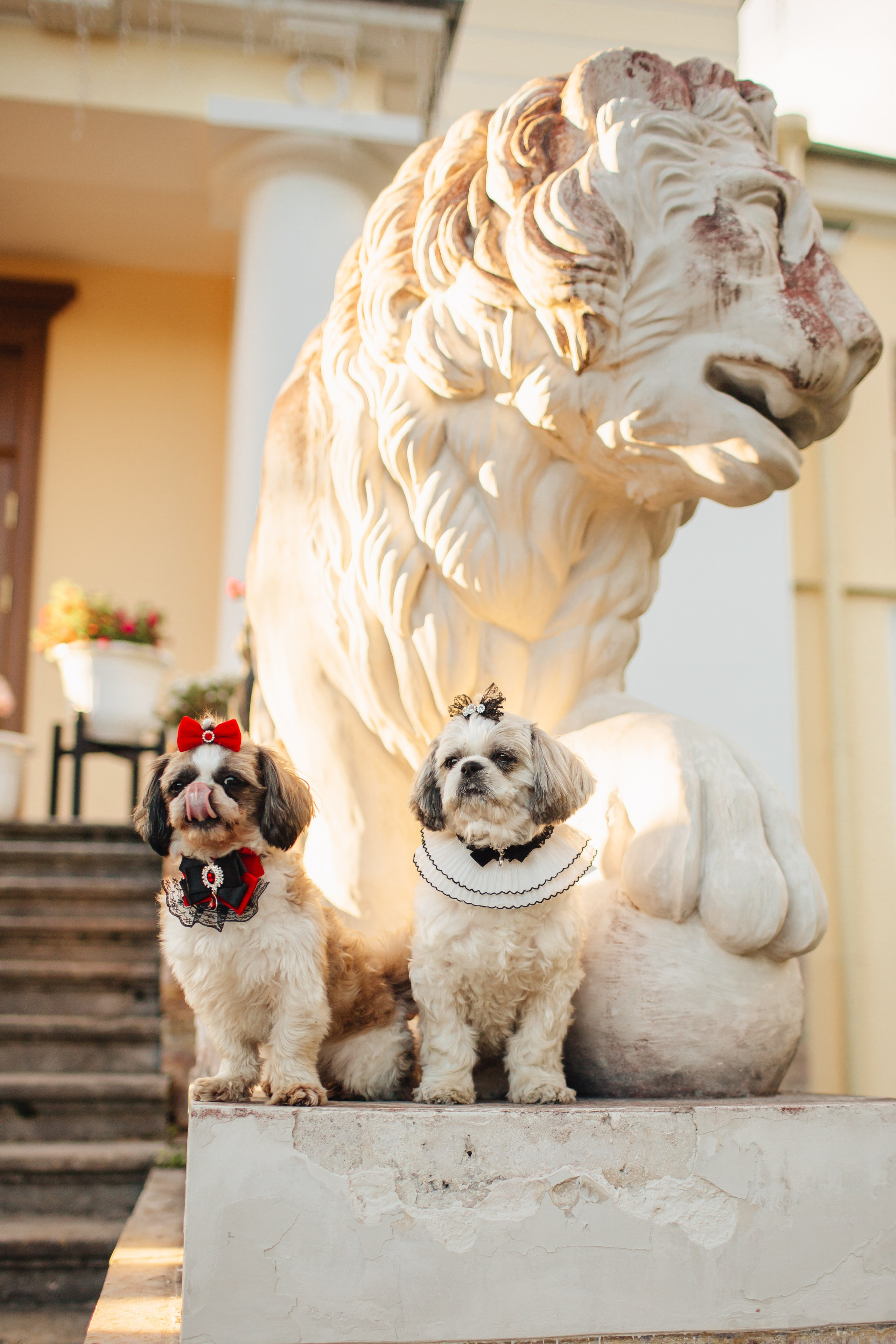 Помолвка Женя Люба. Свадебный фотограф в Санкт-Петербурге