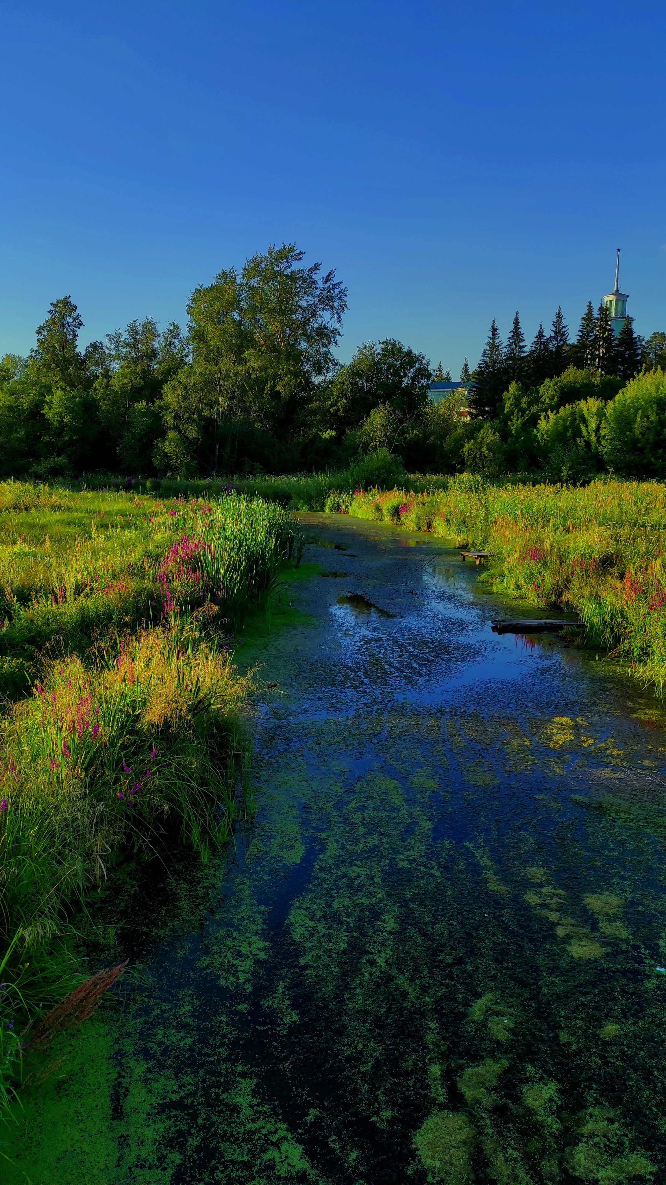 Вдохновение. Бутакова Елена фотограф в Екатеринбурге
