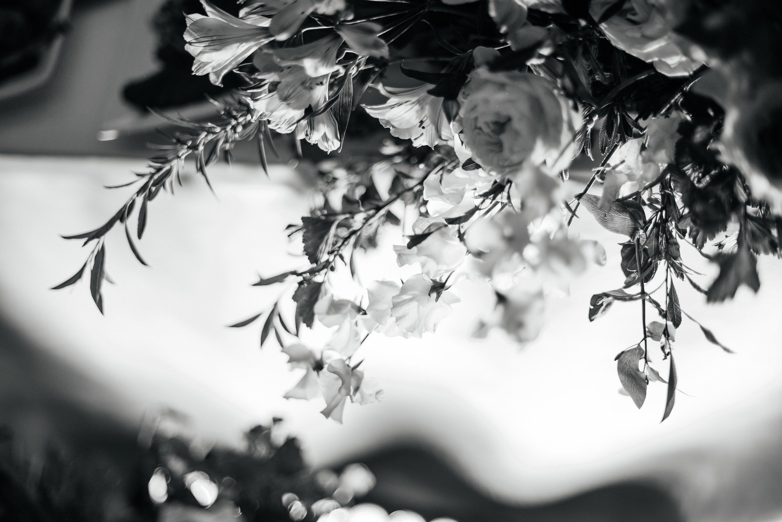 Илья и Анна. Свадебный фотограф