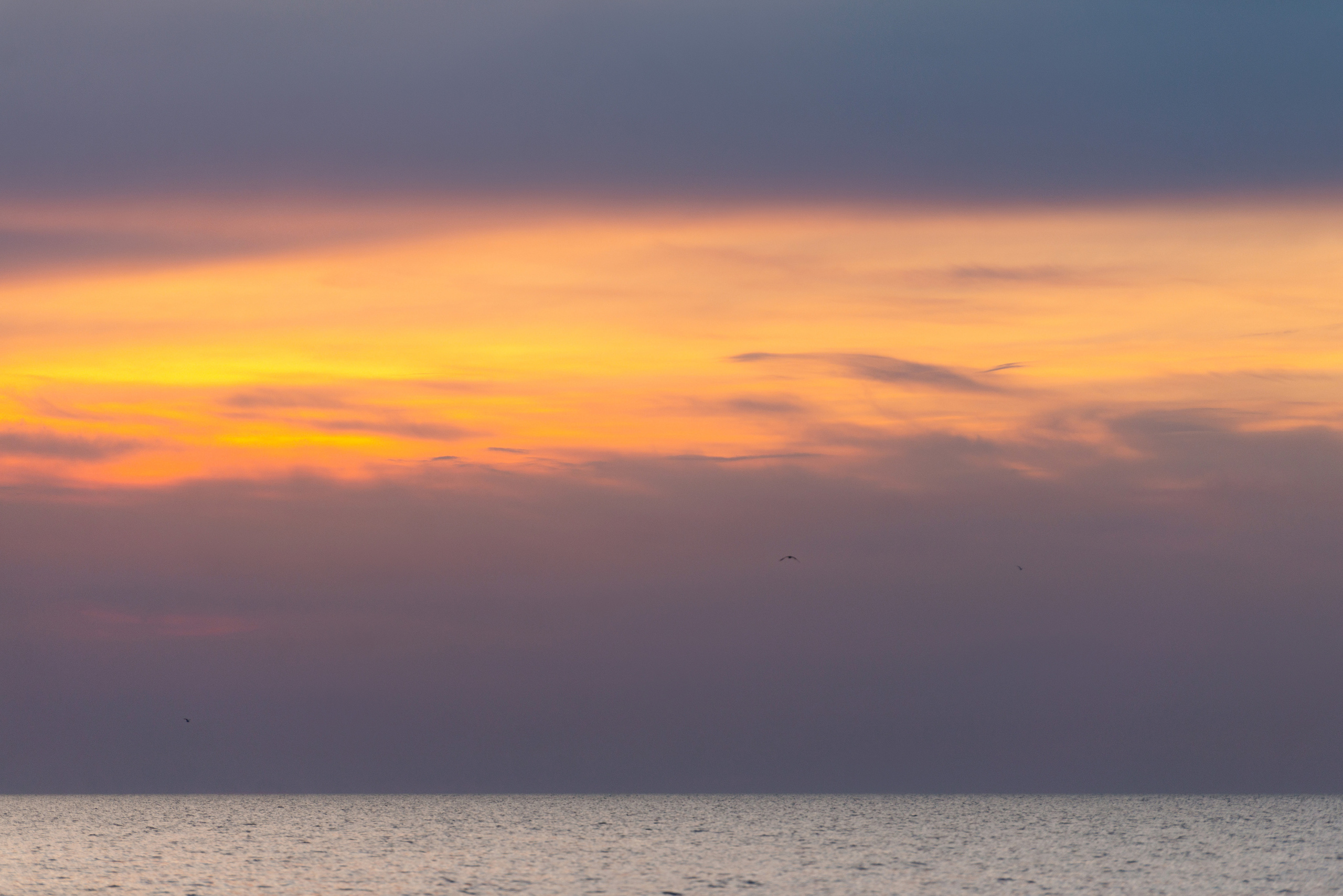 Артём и Елена. Семейный и свадебный фотограф в Краснодаре Максим Ершов