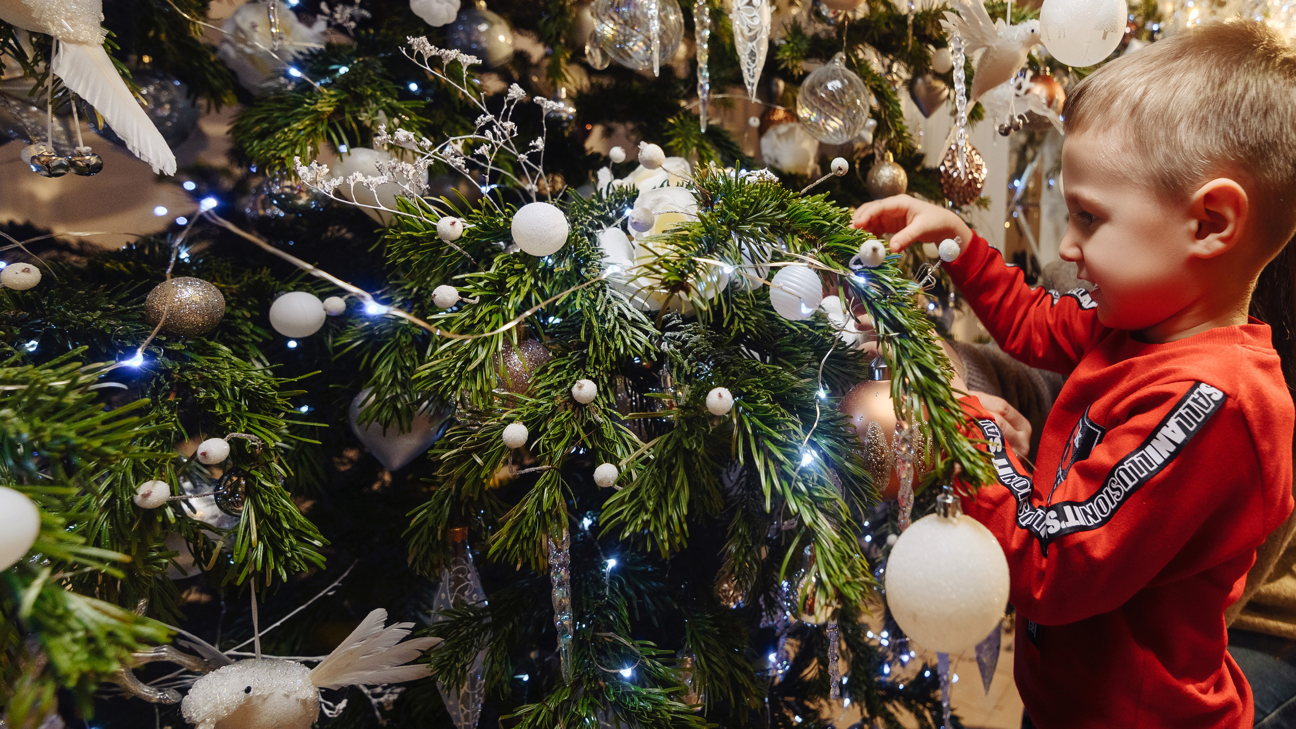 Мигран и Анна. Семейный и свадебный фотограф в Краснодаре Максим Ершов