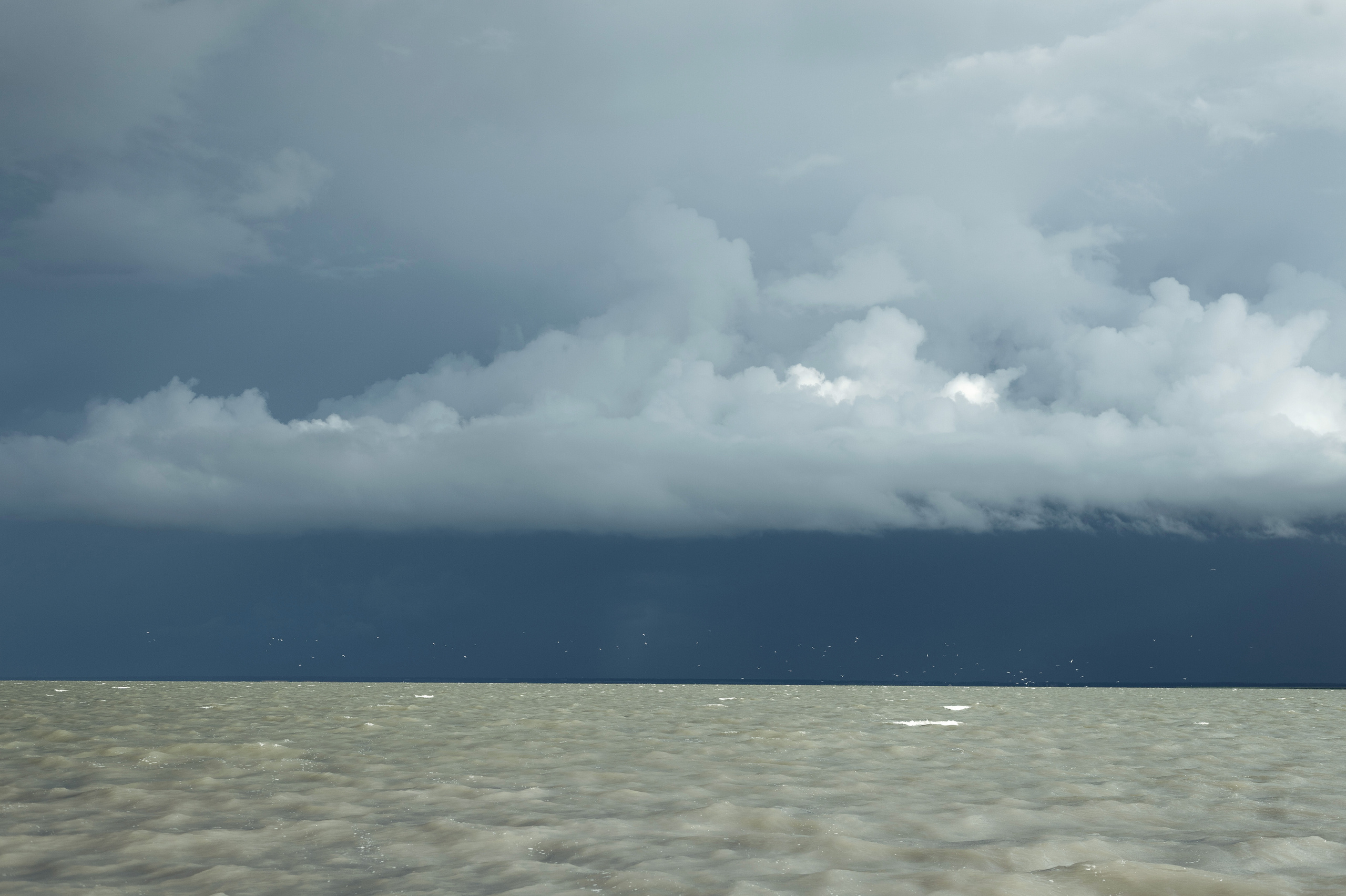 Андрей и Елена. Семейный и свадебный фотограф в Краснодаре Максим Ершов