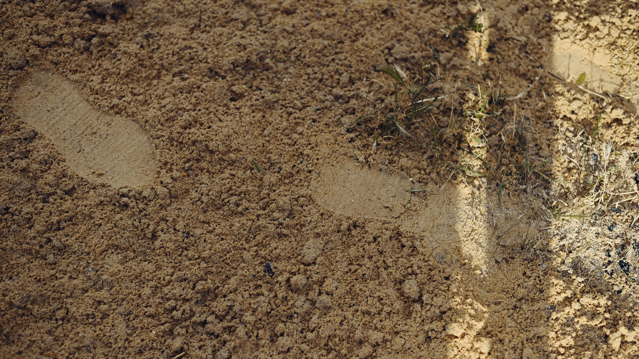 Андрей и Елена. Семейный и свадебный фотограф в Краснодаре Максим Ершов