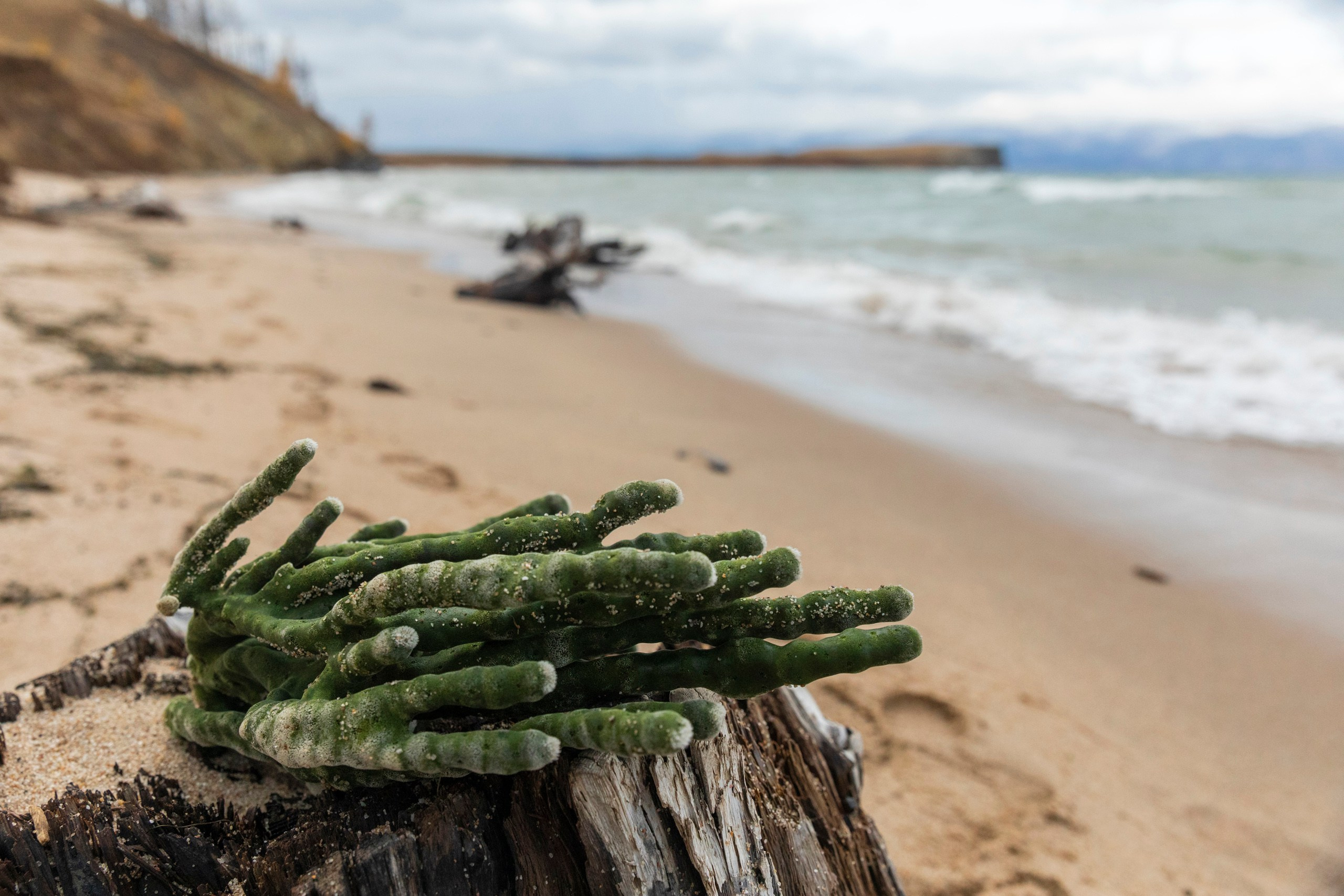 Ольхон в октябре. Марина Захарова — Фотограф. Москва / Marina Zakharova — Photographer