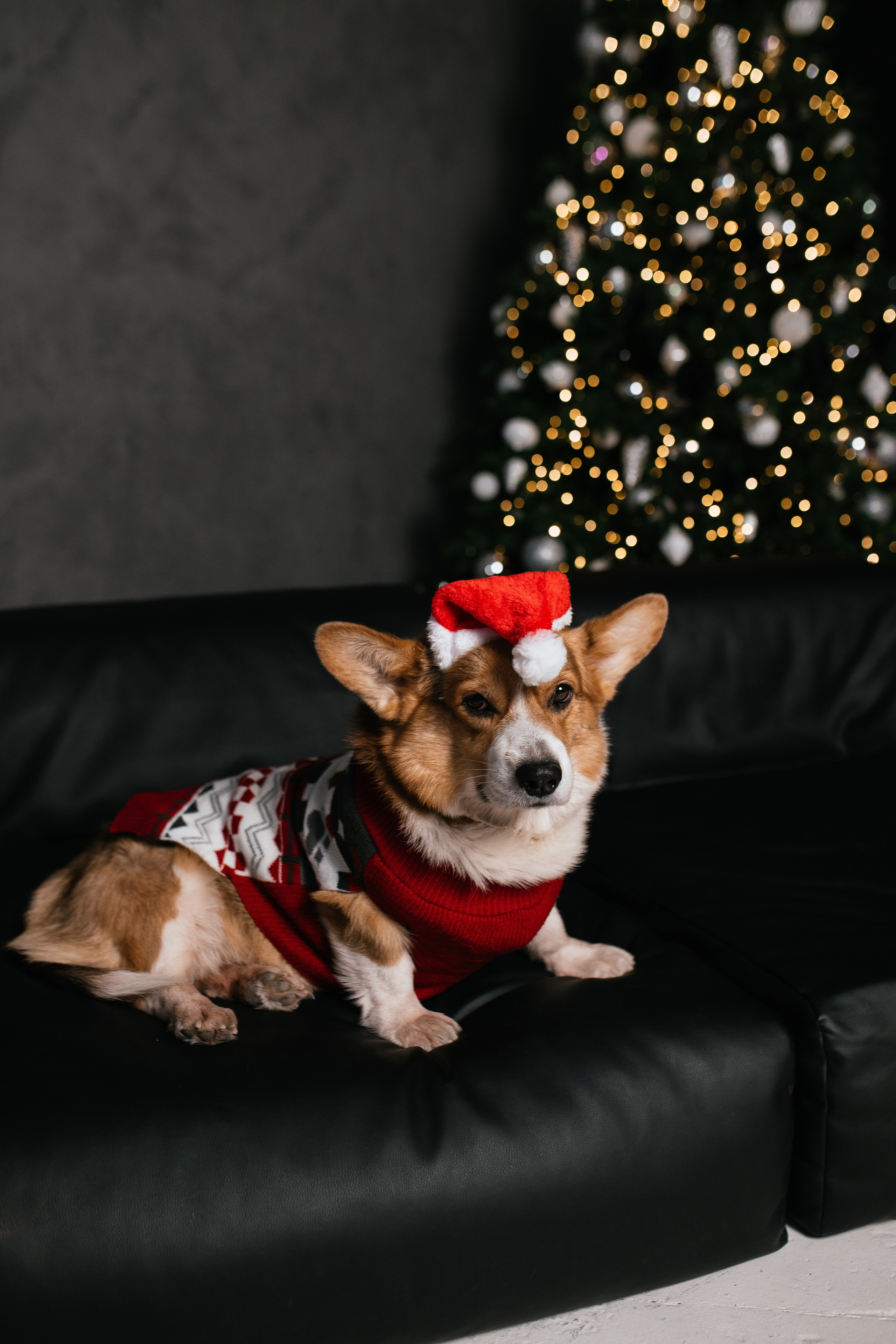 Люда. Свадебный, семейный фотограф в Рязани Лена Брант