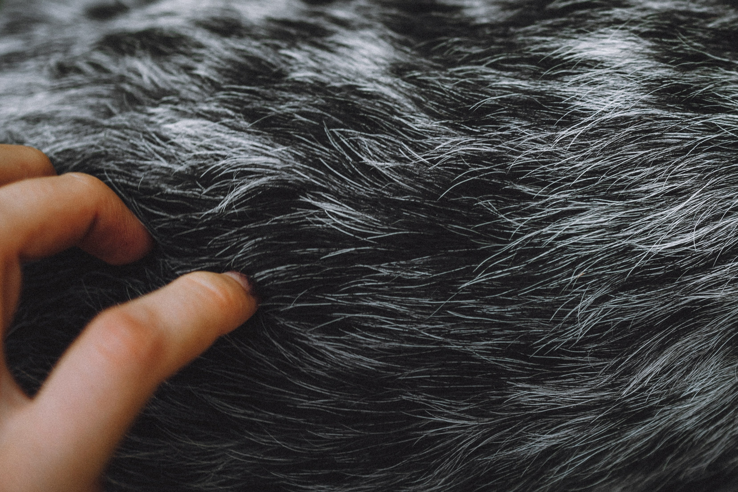 Маша и Ларри