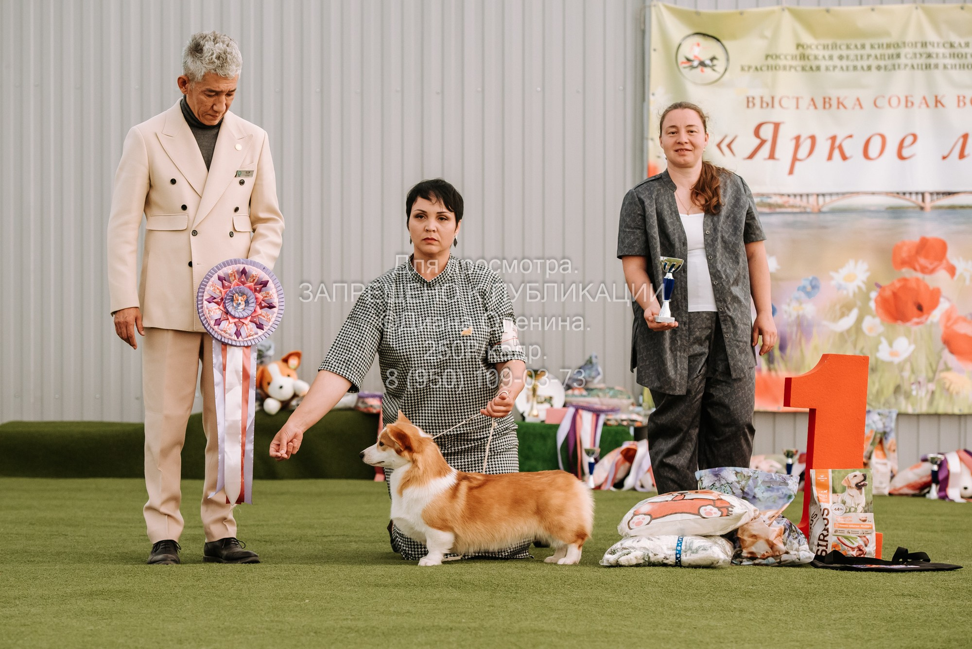 Выставка собак Красноярск 2.06. Фотограф Диана Оленина Красноярск / Братск