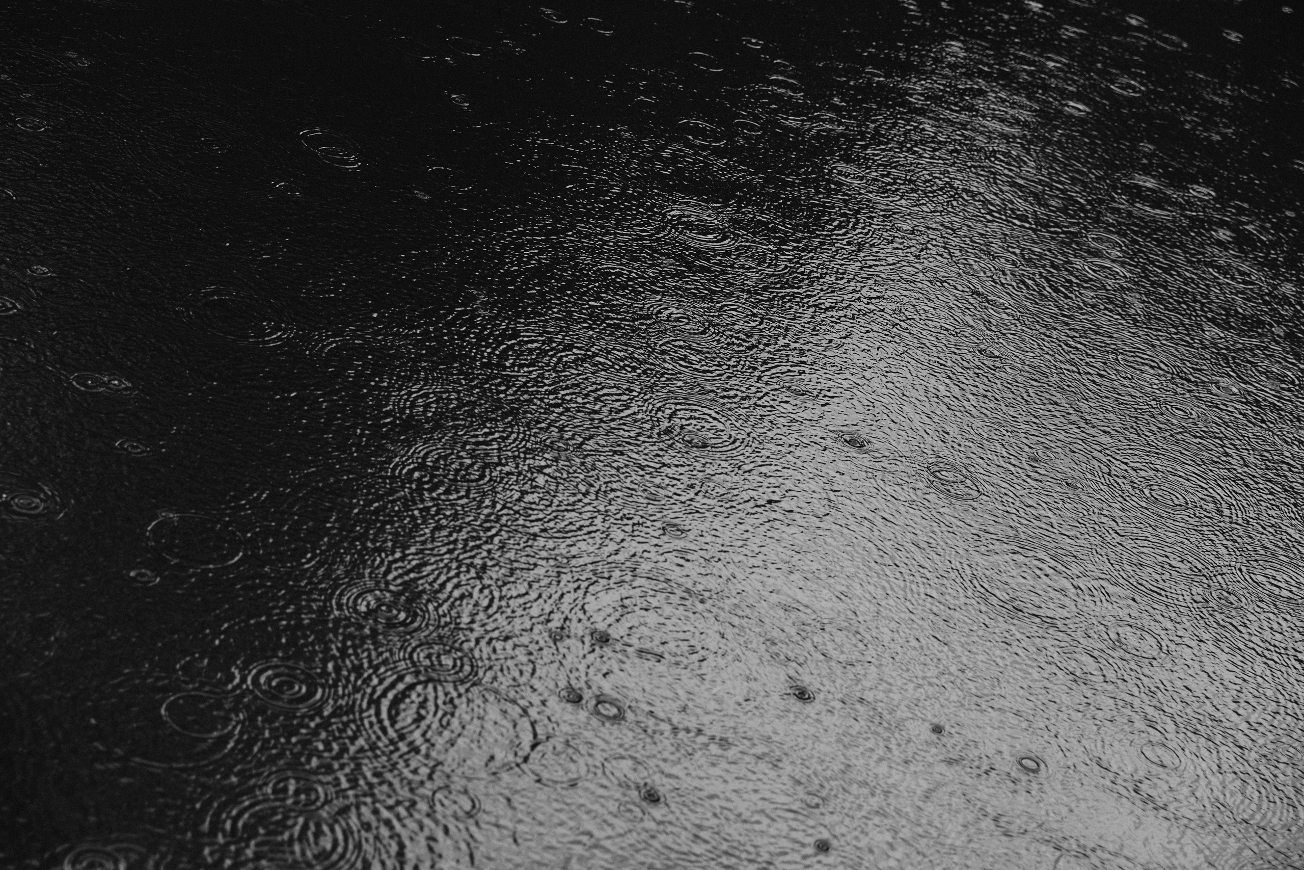 Александра и Илья. Свадебный и портретный фотограф в Калининграде и Москве Марк Юдинцев