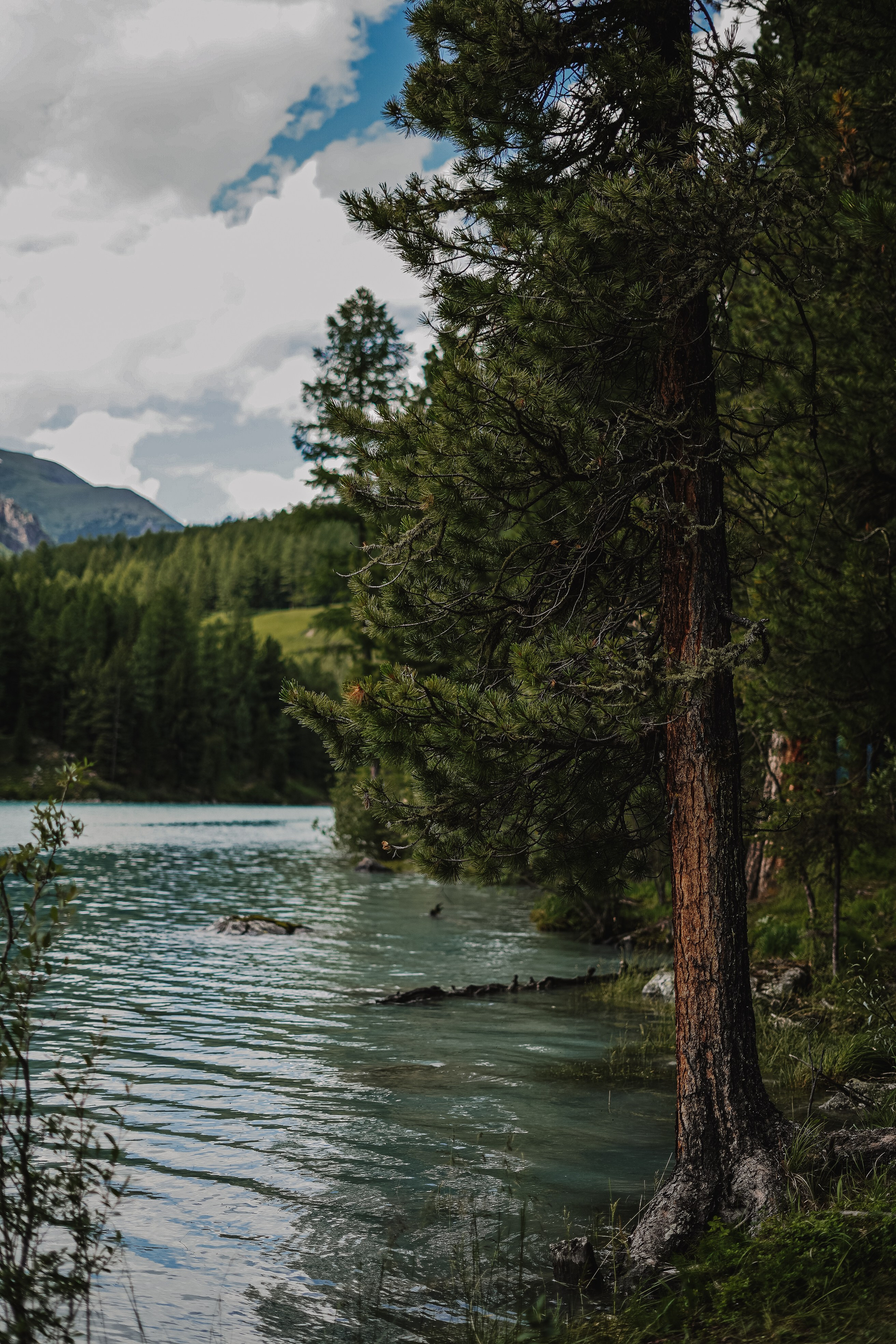 Алтай, поход к Белухе 2023. Фотограф Ольга Пучкова