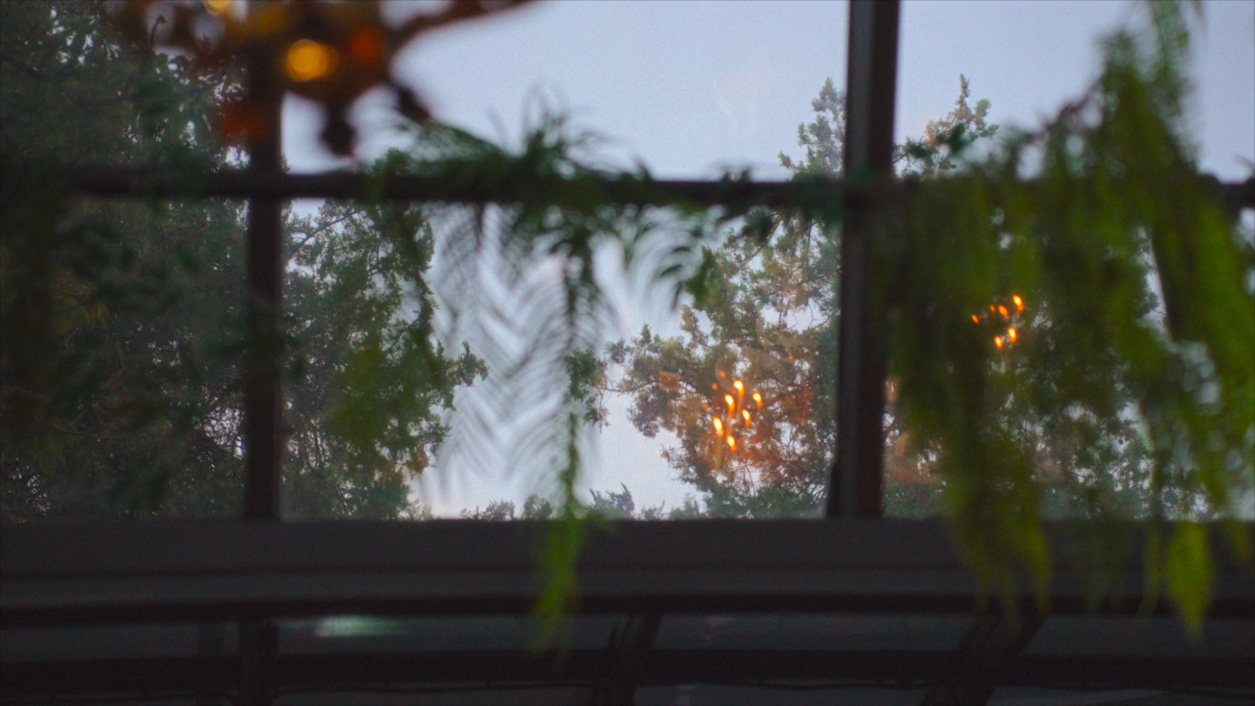 Илья и Александра. Агата Акварель видеограф Сочи Краснодар