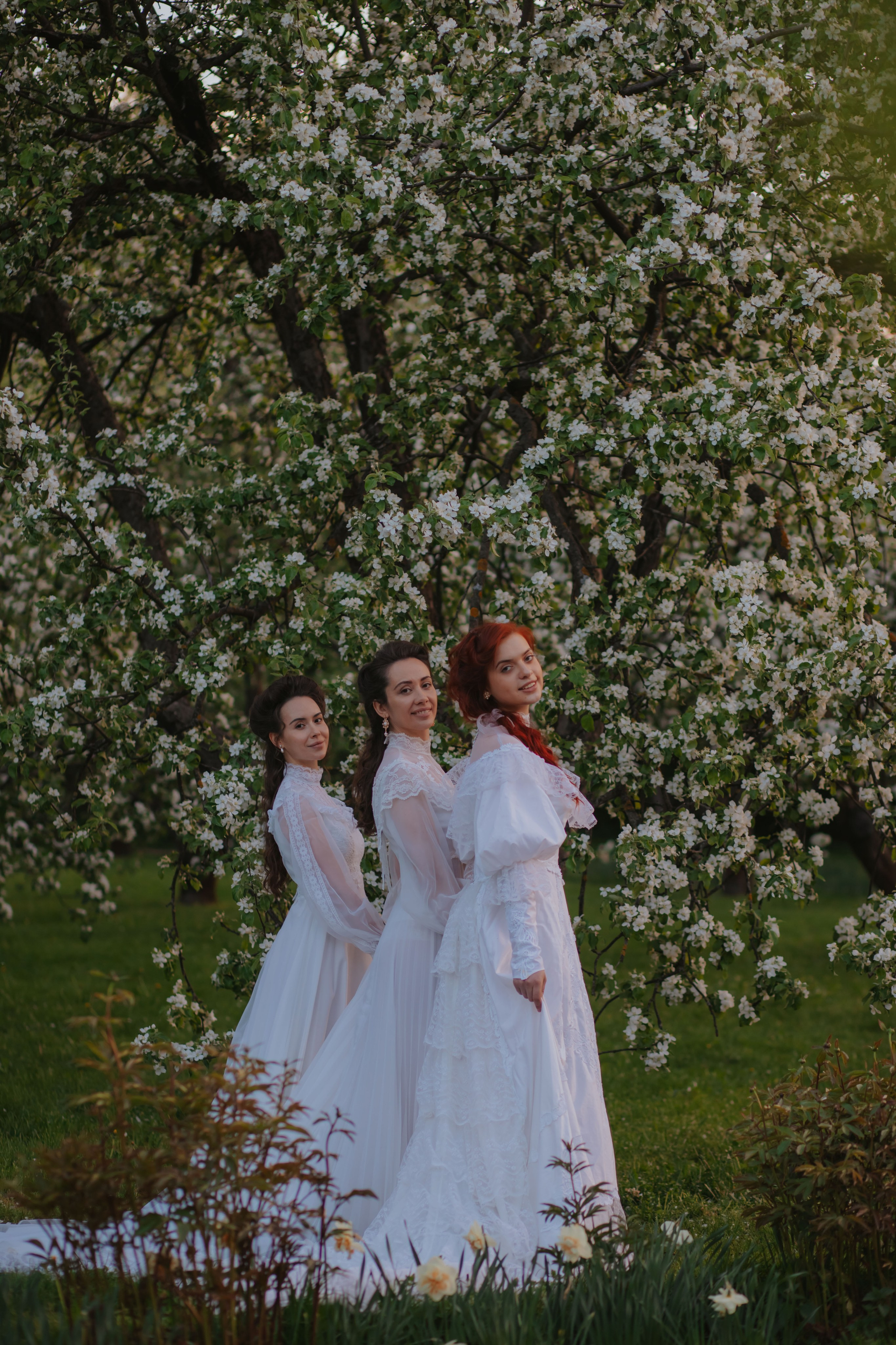 Яблоневый сад. Художественная винтажная фотография