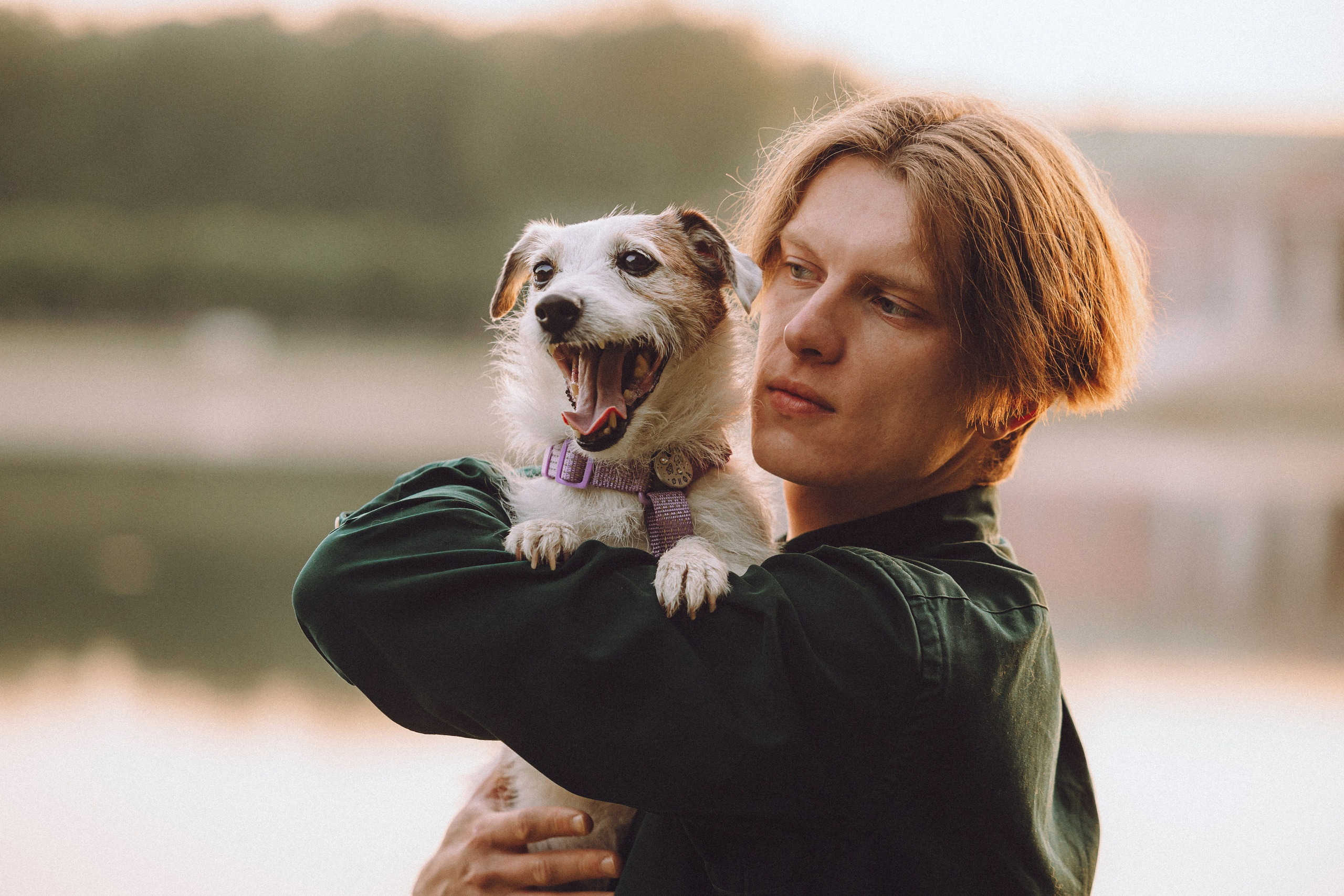 Фифа, Кнопка, Бублик и их семья