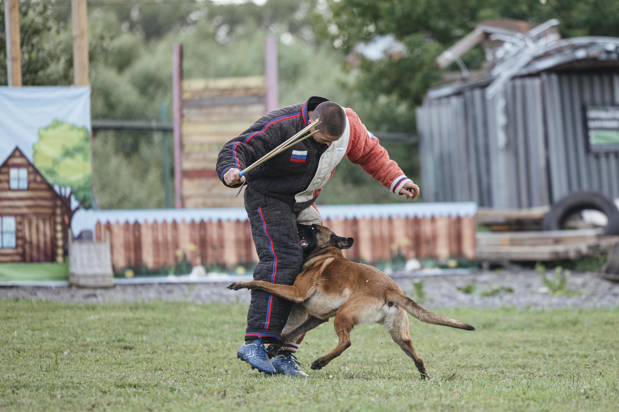 08.08.25-10.08.25 ЧР по мондьорингу г. Вологда. Фотограф-анималист Анна Маринич