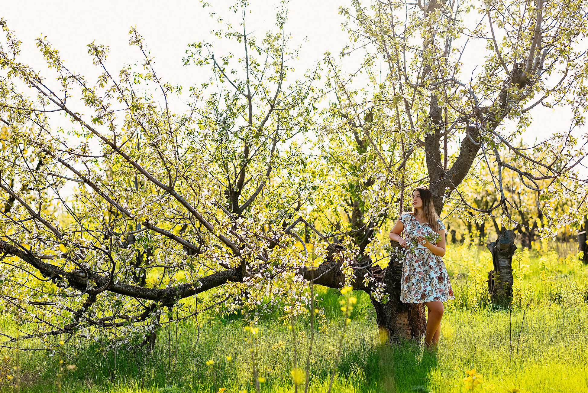 Фотосессия Love Story в цветущих садах. Свадебный и семейный фотограф в Ростове-на-Дону Елена Сторожок