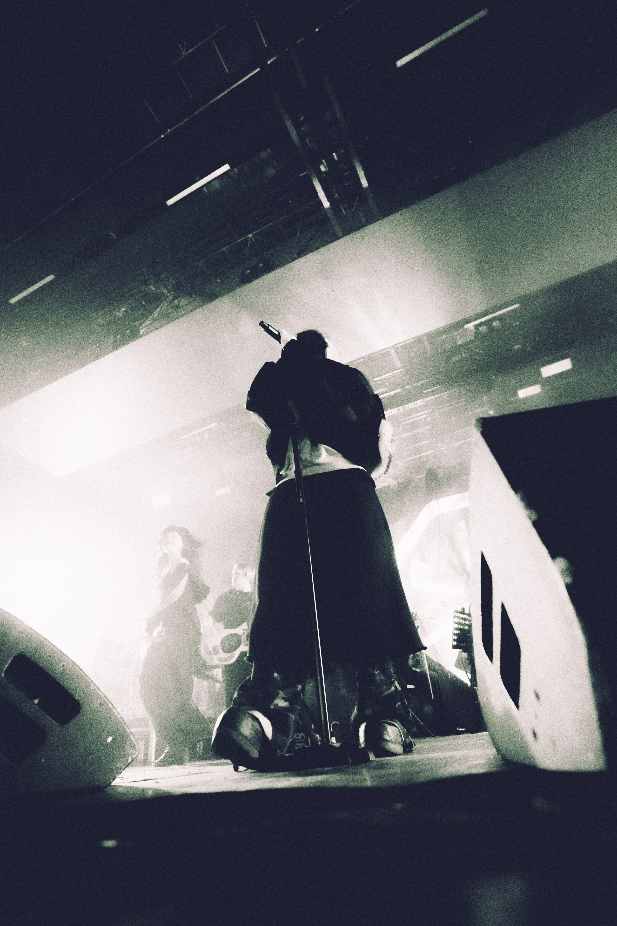 SALUKI. PASHAHARCE PHOTOGRAPHER & VIDEOGRAPHER